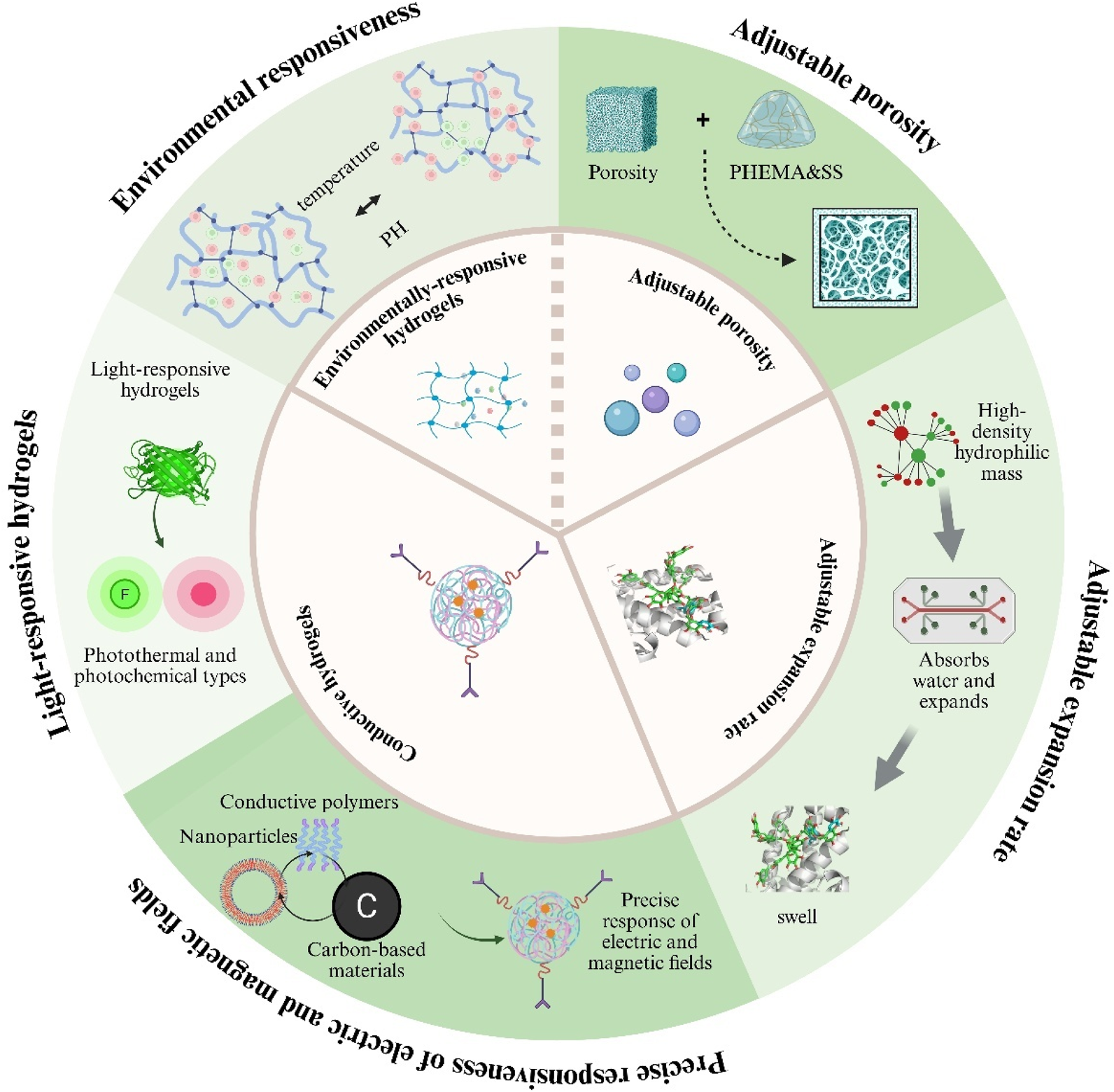 Diagram illustrating different types of hydrogels and their properties. It is divided into four sections: environmental responsiveness, adjustable porosity, adjustable expansion rate, and precise responsiveness to electric and magnetic fields. Each section contains images depicting hydrogel structures, such as light-responsive, conductive, and environmentally-responsive types. Arrows connect elements to show relationships, like porosity affecting structure, hydrophilic mass absorbing water, and the interaction of nanoparticles and carbon-based materials with electric and magnetic fields.