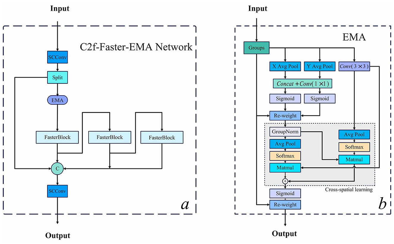 Diagram showing the structure of the C2f-Faster-EMA Network. On the left, blocks are labeled: SCConv, Split, EMA, and multiple FasterBlock units, leading to output. On the right, the EMA is detailed with processes involving groups, pooling operations, convolutions, concatenation, sigmoid functions, re-weighting, and cross-spatial learning using GroupNorm and Softmax, ending in output.