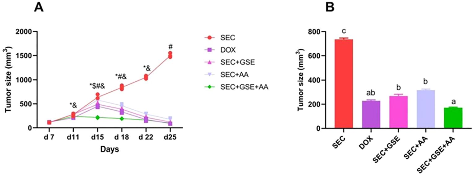 Graph A illustrates tumor size over 25 days for various treatments, with SEC showing the largest tumor growth. Graph B compares final tumor sizes, with SEC being the highest and SEC+GSE+AA the lowest. Each treatment is marked distinctly.