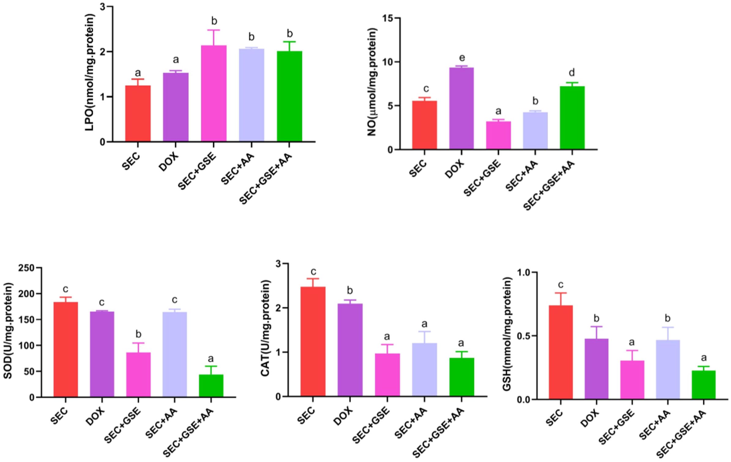 Bar charts comparing the effects of different treatments on protein metrics: LPO, NO, SOD, CAT, and GSH. Treatments include SEC, DOX, SEC+GSE, SEC+AA, and SEC+GSE+AA. Each chart shows mean values with error bars, labeled with different letters indicating statistical differences.