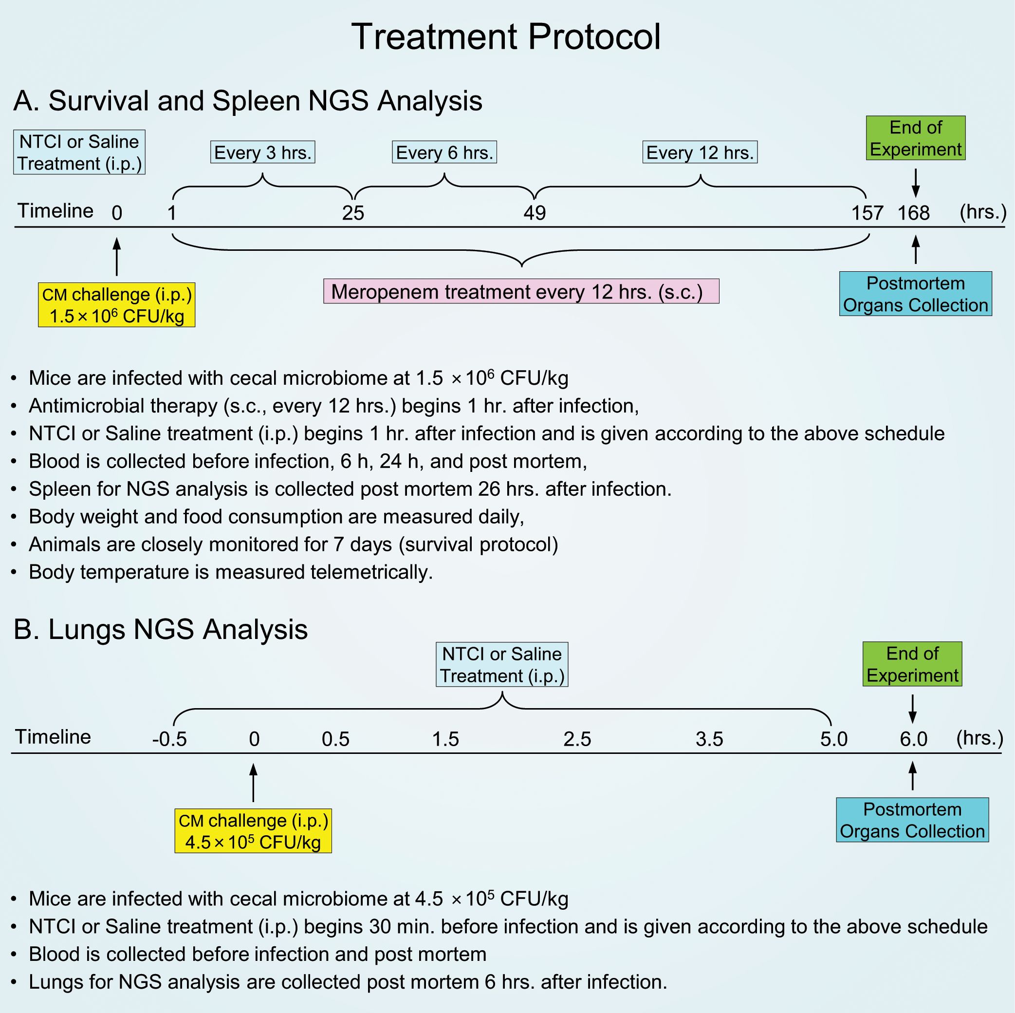 Treatment protocol for survival and organ analysis in mice. Section A outlines the survival and spleen analysis with a timeline from zero to one hundred sixty-eight hours. Mice receive NTCI or saline and antimicrobial treatment, with blood and spleen collected at specified times. Section B covers lung analysis over six hours, with similar treatments and measurements. Both protocols include microbial infection, treatment regimens, and postmortem organ collection. Key activities include blood collection, spleen and lung analysis, and monitoring body weight, food consumption, and temperature.