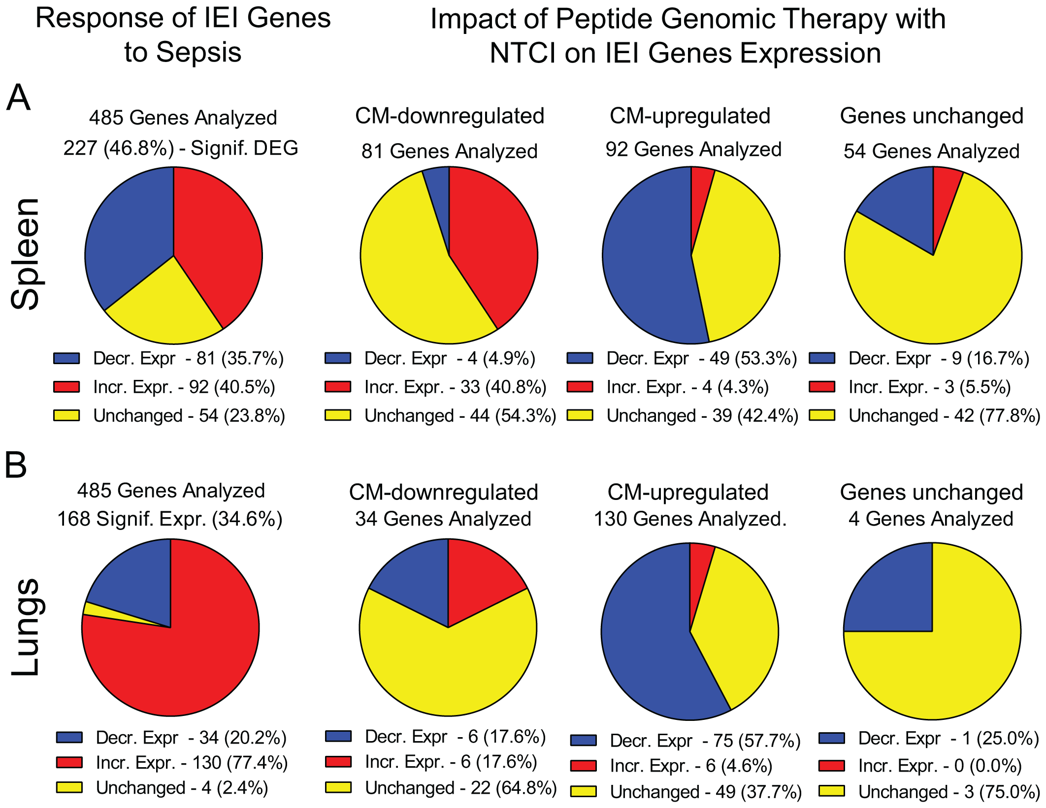 Four pie chart diagrams illustrate the response of IEI genes to sepsis in the spleen and lungs. For the spleen, 485 genes were analyzed, showing varied expression: 81 decreased, 92 increased, and 54 unchanged. Peptide genomic therapy impacts are shown with separate analyses for CM-downregulated and CM-upregulated genes, highlighting differential expression. For the lungs, similar patterns are observed with 485 genes analyzed, indicating 34 decreased, 130 increased, and 4 unchanged, alongside therapy impact charts. Each pie chart uses blue for decreased expression, red for increased, and yellow for unchanged.