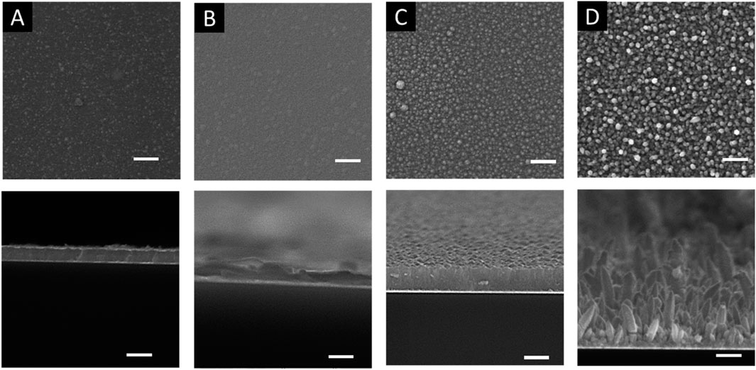 Microscopic images showing surface and cross-sectional views of samples labeled A through D. The top row displays surface textures, with increasing particle density from A to D. The bottom row shows cross-sectional views corresponding to each sample, highlighting structural differences in layers. Scale bars are present for reference.
