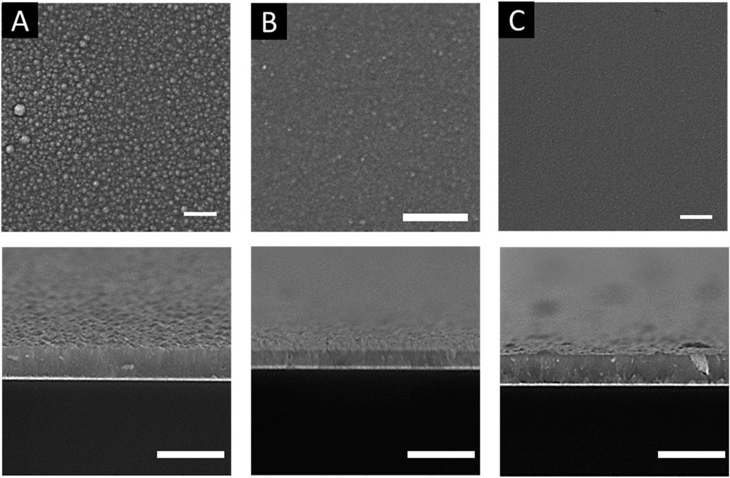 Microscopic images showing surface and cross-sectional views of polymer films labeled A, B, and C. The top row displays surface textures, with A having a rough, granular appearance, B smoother, and C almost featureless. The bottom row exhibits cross-sections of the films, illustrating varying thicknesses and uniformity. Scale bars are visible for reference.