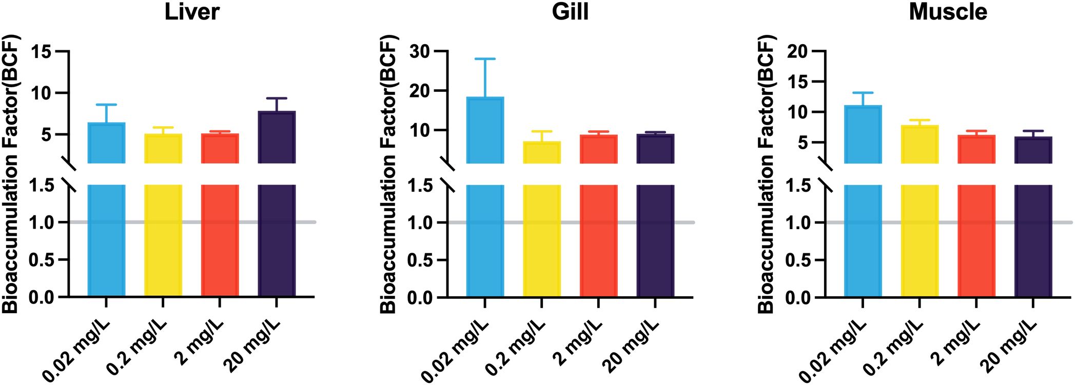 Bar charts showing bioaccumulation factors in liver, gill, and muscle tissues at concentrations of 0.02, 0.2, 2, and 20 mg/L. Liver shows highest values at lower concentrations. Gill values peak at 0.02 mg/L. Muscle values are consistent across concentrations. Bars are colored blue, yellow, red, and purple for different concentrations.
