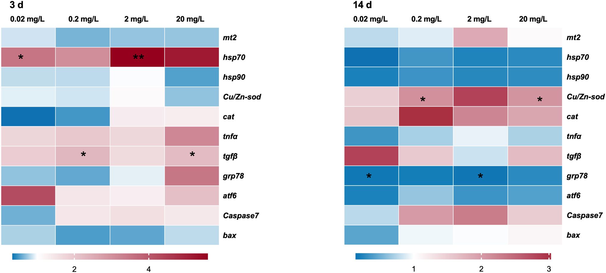 Two heatmaps compare gene expression levels at different concentrations (0.02, 0.2, 2, 20 mg/L) over 3 and 14 days for genes mt2, hsp70, hsp90, Cu/Zn-sod, cat, tnfa, tgfβ, grp78, atf6, Caspase7, and bax. Colors range from blue (low expression) to red (high expression), with asterisks indicating significant changes.
