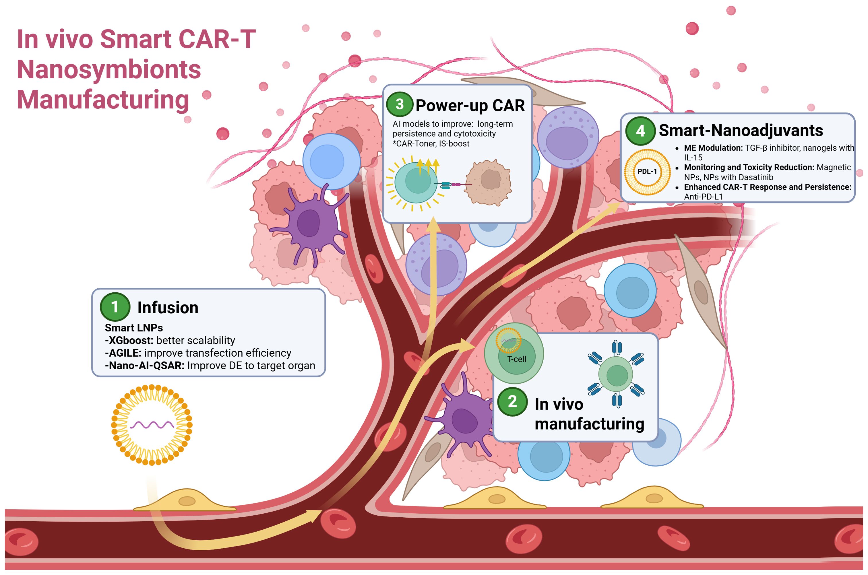 Diagram illustrating the process of in vivo Smart CAR-T Nanosymbionts Manufacturing. It includes four steps: 1) Infusion with smart LNPs for scalability and efficiency, 2) In vivo manufacturing, 3) Power-up CAR with AI models, and 4) Smart-Nanoadjuvants for enhancing CAR-T response. Blood vessel pathways and cellular interactions are depicted.