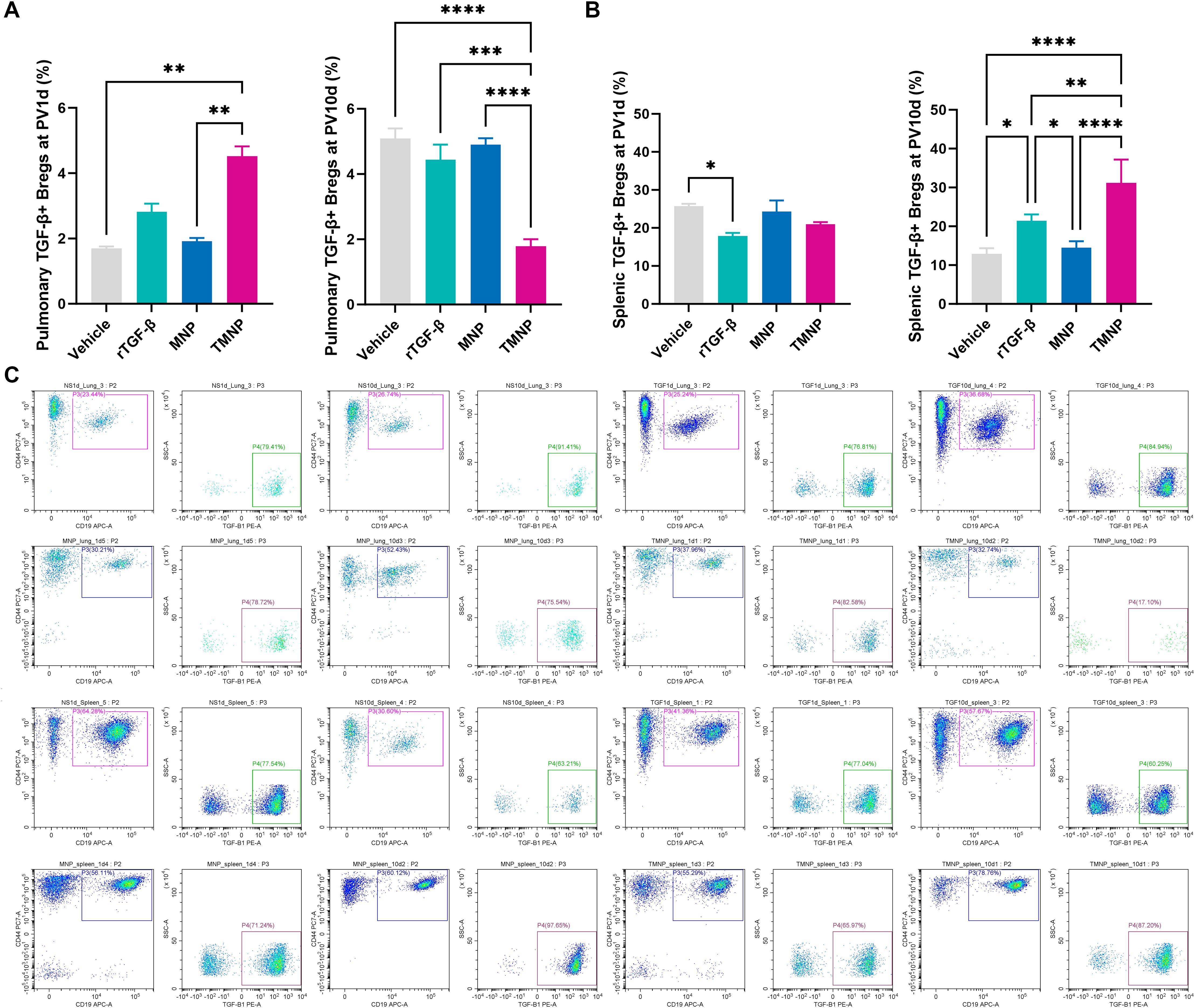 Bar graphs labeled A and B show percentages of TGF-β positive Bregs in the lungs and spleen. Groups compared include Vehicle, TGF-R, MNP, and TMNP, with significant differences marked by asterisks. Part C displays flow cytometry plots for different samples, with panel titles indicating sample and organ type. Each plot shows gated populations and percentages of TGF-β positive cells.