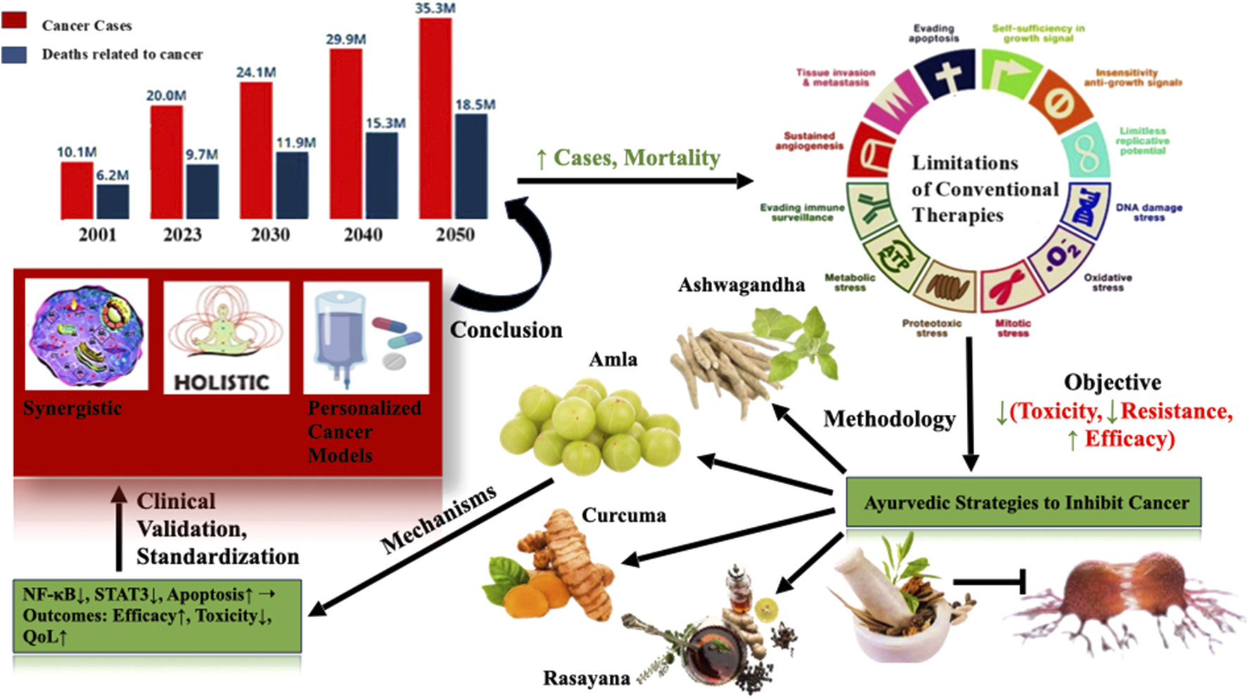 Bar chart shows increasing cancer cases and deaths from 2001 to 2050. Diagram outlines limitations of conventional therapies, focusing on reducing toxicity and resistance while increasing efficacy. Ayurvedic methods involving Ashwagandha, Amla, Curcuma, and Rasayana are suggested for cancer inhibition, supported by clinical validation and standardization. Outcomes aim for improved efficacy, reduced toxicity, and enhanced quality of life.