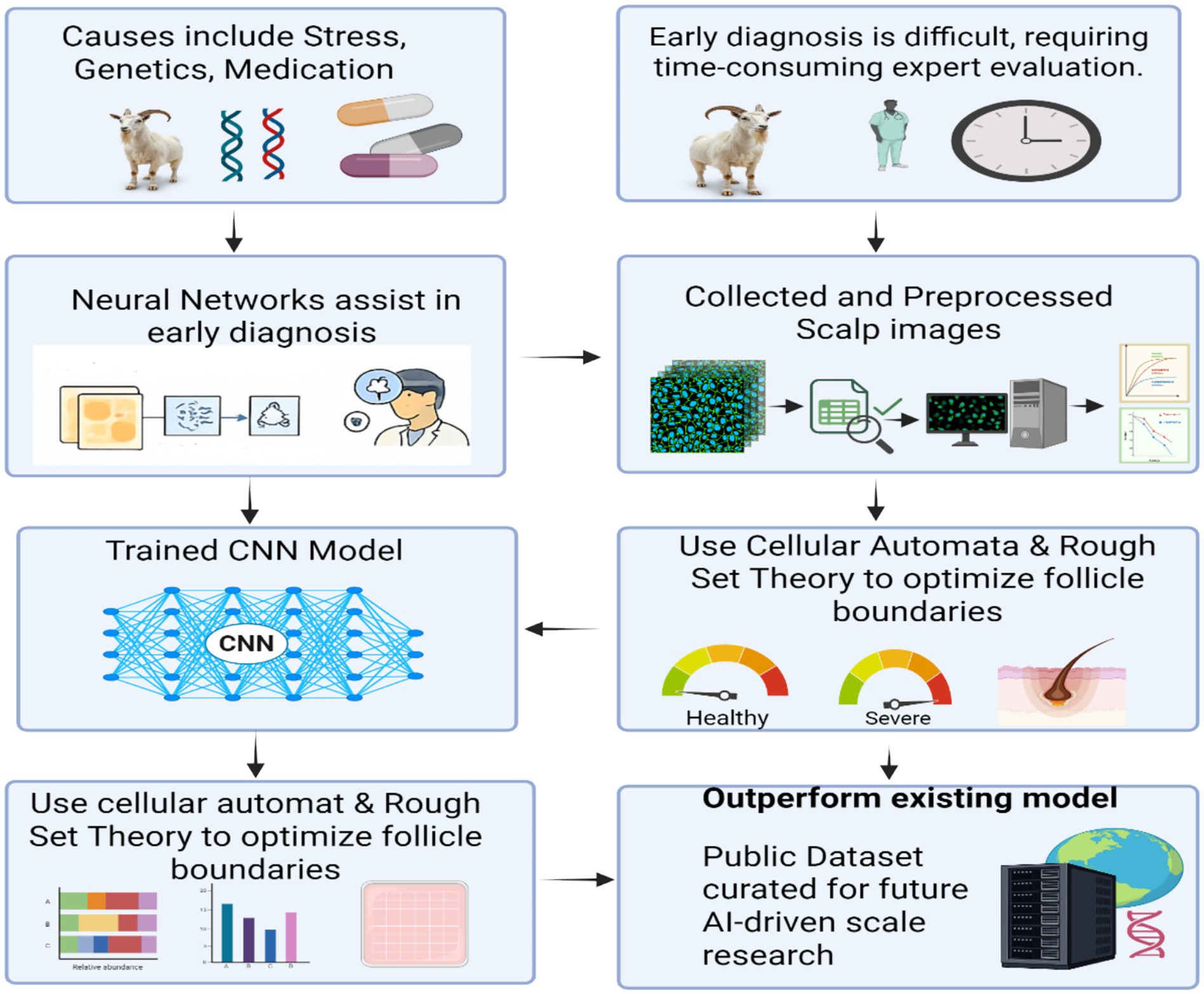 Flowchart illustrating a process for diagnosing scalp conditions. Causes include stress, genetics, and medication. Early diagnosis is challenging. Neural networks help with diagnosis by analyzing collected scalp images. A trained CNN model uses cellular automata and rough set theory to optimize follicle boundaries, identifying healthy and severe conditions. The process aims to outperform existing models, contributing to AI-driven research.