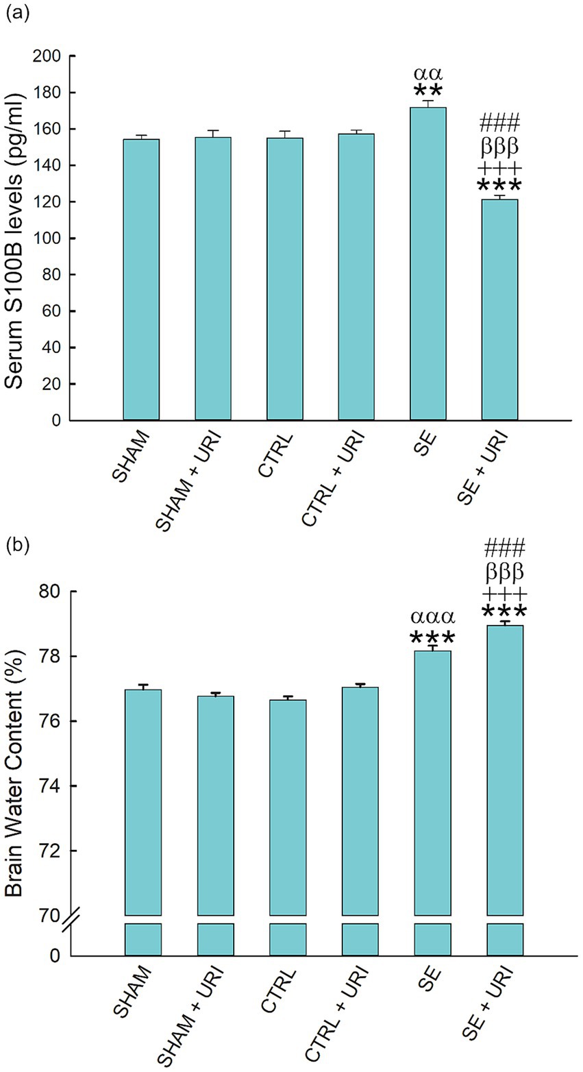 Panel (a) is a bar graph showing serum S100B levels in picograms per milliliter across six groups: SHAM, SHAM+URI, CTRL, CTRL+URI, SE, and SE+URI. The SE and SE+URI groups show significantly higher levels with annotations indicating statistical significance. Panel (b) depicts brain water content percentage for the same groups, with SE+URI showing the highest content and similar annotations for statistical significance.