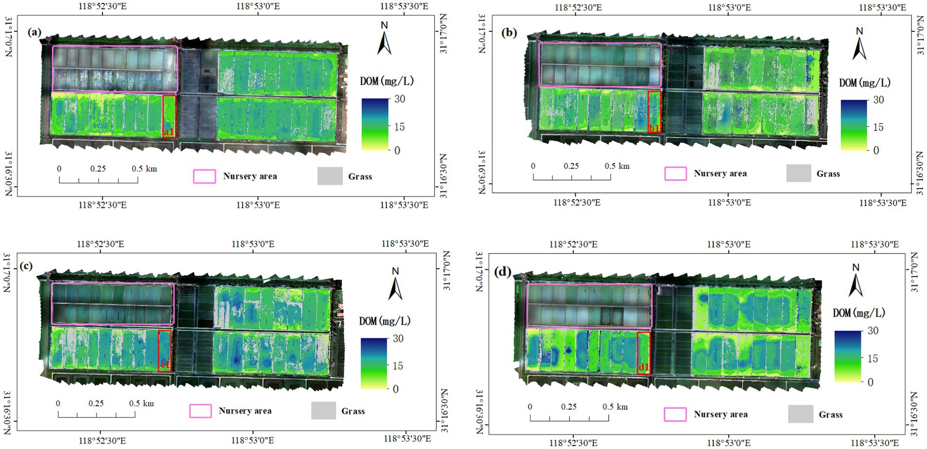 A series of four aerial images labeled (a) to (d) show a nursery area outlined in pink with adjacent grass areas in grey. The images depict dissolved organic matter (DOM) concentration, represented by a color gradient from blue (30 mg/L) to green (0 mg/L). Each image is marked with coordinates and scale bars, indicating orientation and location. Distinct sections within the nursery are marked with labels such as a1, b1, c1, and d1 outlined in red. Compass rose indicates the north direction.