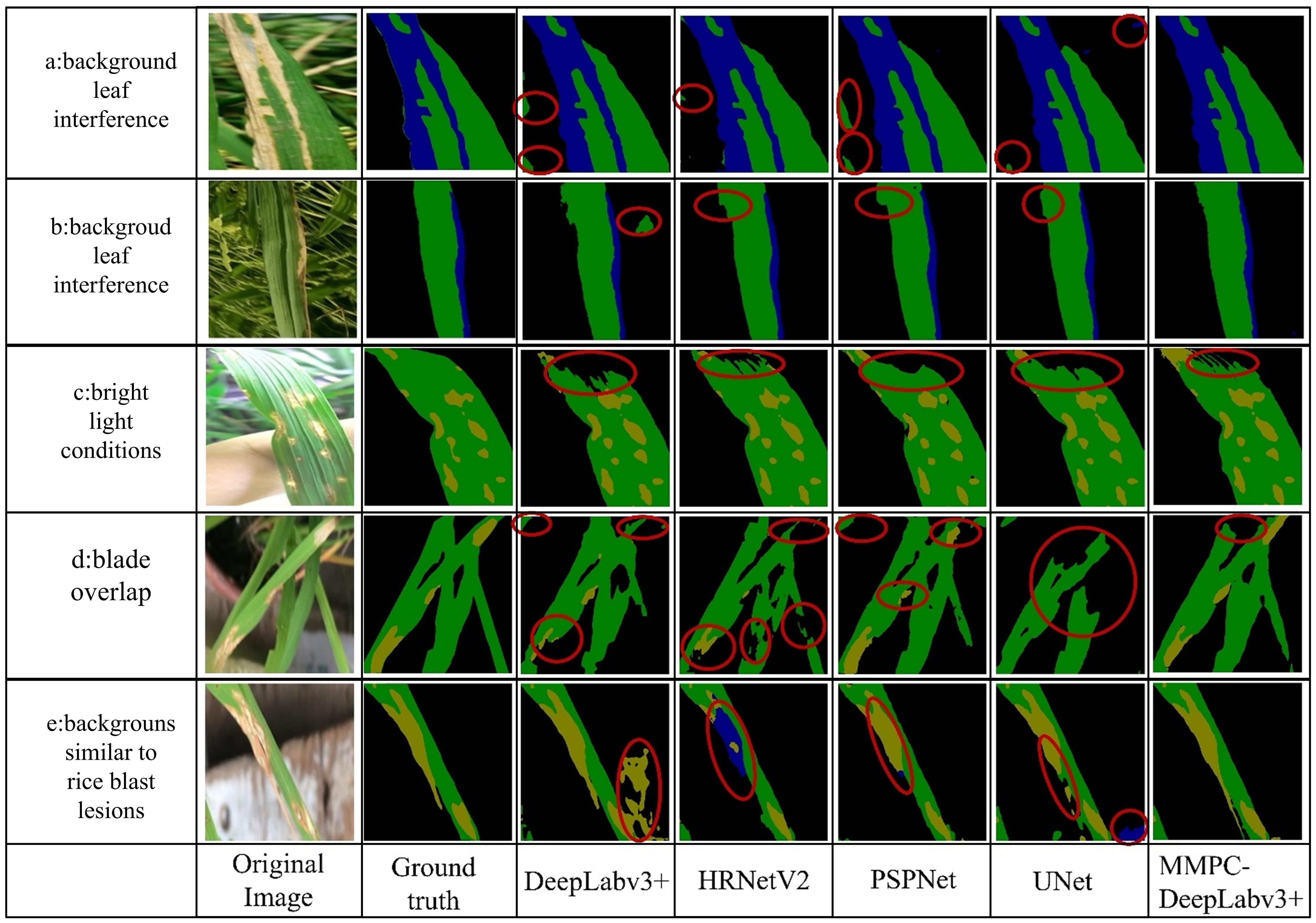 Comparison of segmentation models for detecting rice leaf lesions under different conditions: background leaf interference, bright light, blade overlap, and backgrounds similar to rice blast lesions. Images show original photos, ground truth, and segmentations by DeepLabv3+, HRNetV2, PSPNet, UNet, and MMPC-DeepLabv3+. Red circles highlight errors or areas of interest.