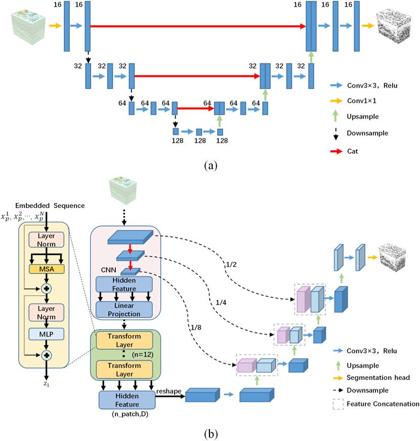 Diagram illustrating two architectures: (a) a hierarchical model with convolutional layers, upsampling, and downsampling operations, using concatenation; (b) a model integrating embedded sequences, CNN layers, and transformation layers, featuring multiple upsampling paths to a segmentation head. Both include color-coded arrows for operations.