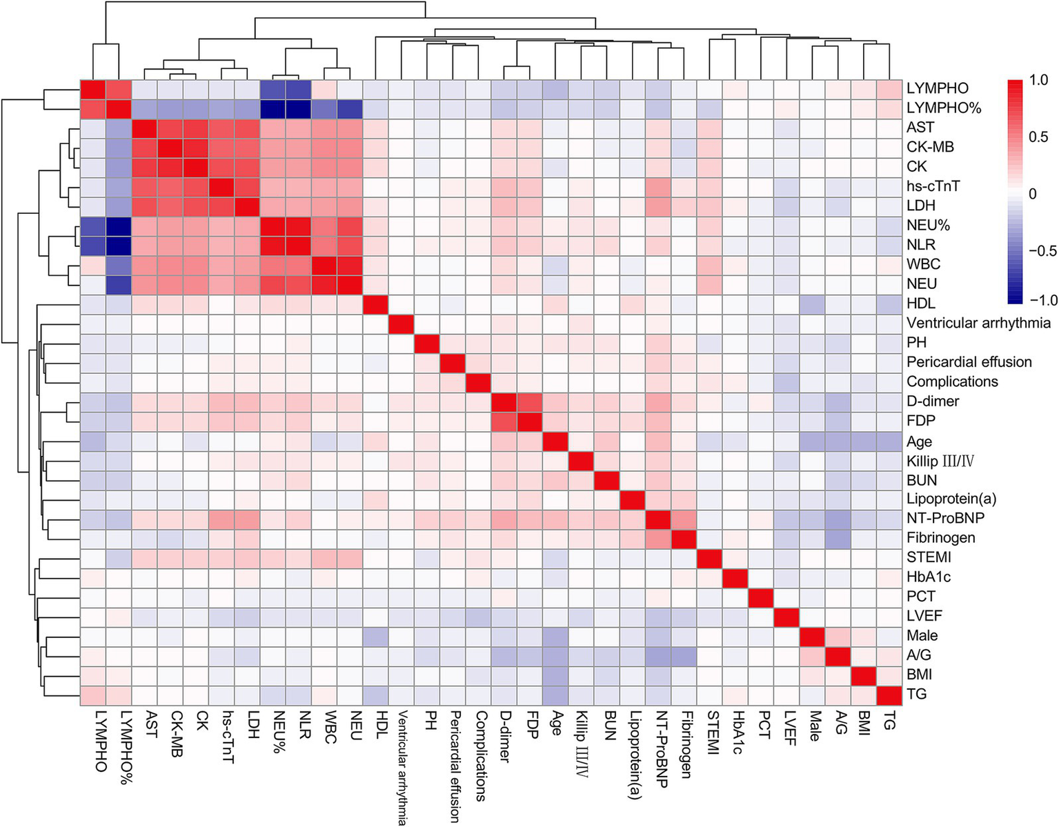 Heatmap showing correlation between various medical parameters, with a dendrogram indicating clustering. Red indicates positive correlation, blue indicates negative. Parameters include LYMPHO, AST, CK-MB, hs-cTnT, and more, with correlation values ranging from -1 to 1. Red signifies strong positive, blue signifies strong negative.