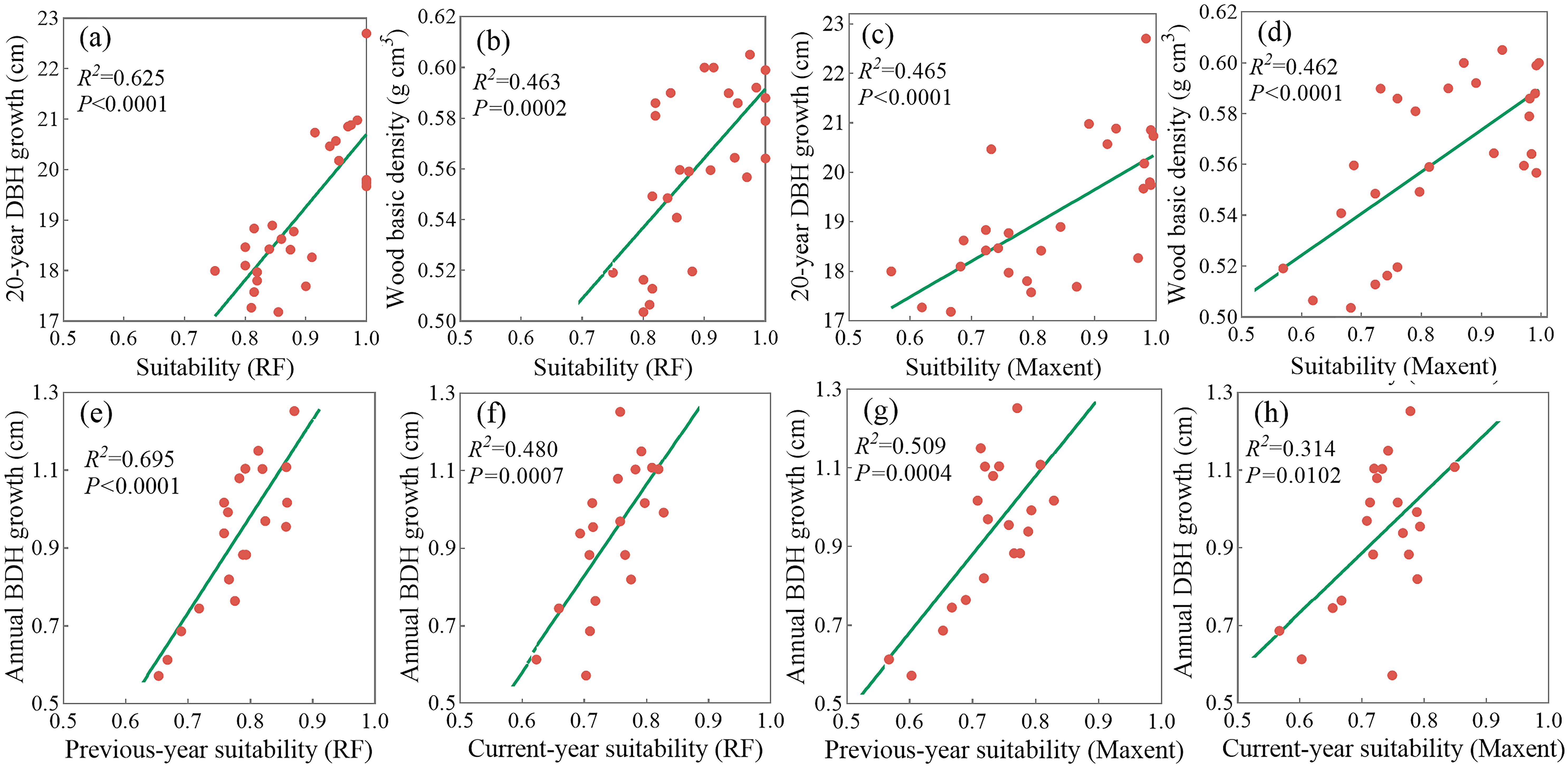 Scatterplot grid with eight panels (a-h), showing relationships between suitability metrics and tree growth measurements. Panels (a-d) depict correlations between twenty-year DBH growth and wood density with suitability (RF and Maxent). Panels (e-h) display annual DBH growth versus previous-year and current-year suitability for both RF and Maxent. Each plot includes red data points and a green trend line. Correlation coefficients (R²) and p-values are provided for each panel.