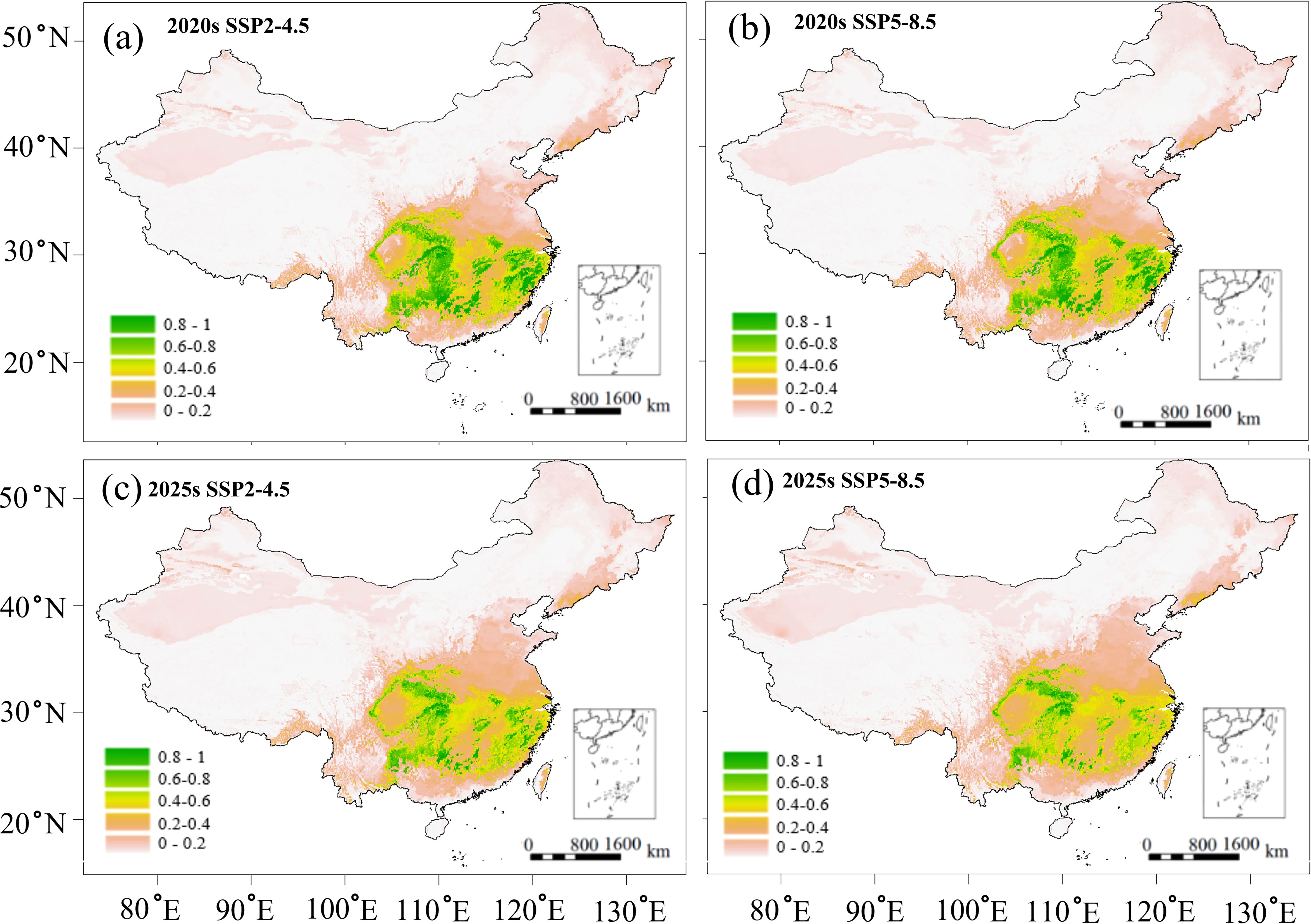 Four maps of China depict vegetation coverage under different scenarios and years. Maps (a) and (c) represent SSP2-4.5 for the 2020s and 2025s, respectively, showing more green areas, indicating higher coverage. Maps (b) and (d) represent SSP5-8.5 for the same years, with less green, indicating reduced coverage. The color gradient from green to orange represents coverage from high to low. A scale bar is included.