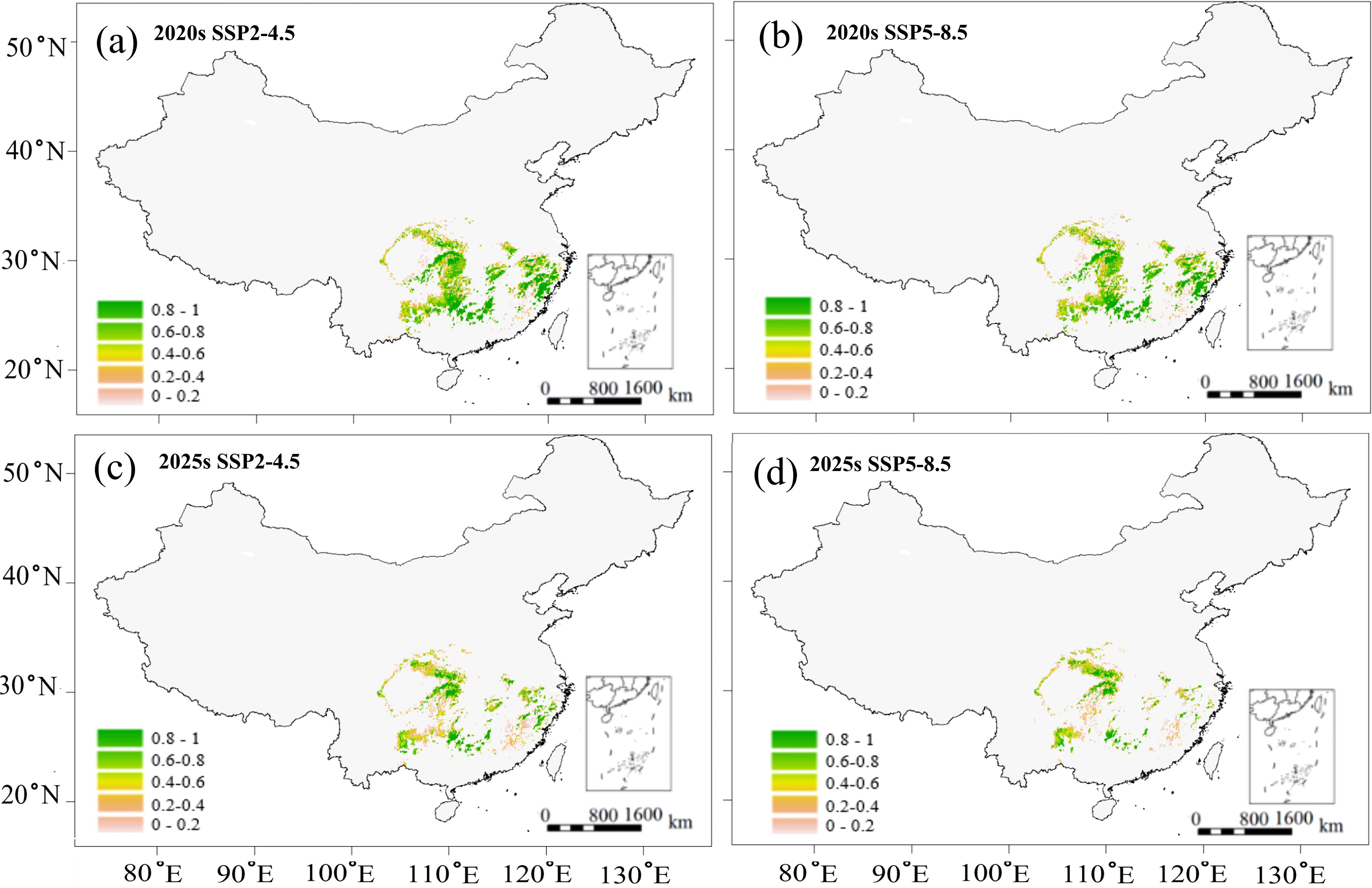 Four maps of China depicting SSP scenarios for 2020s and 2025s. Each map shows varying green to orange gradients, representing probabilities from 0 to 1. Maps (a) and (c) are SSP2-4.5 for the 2020s and 2025s, while maps (b) and (d) are SSP5-8.5. Insets provide location context. A scale bar is included.