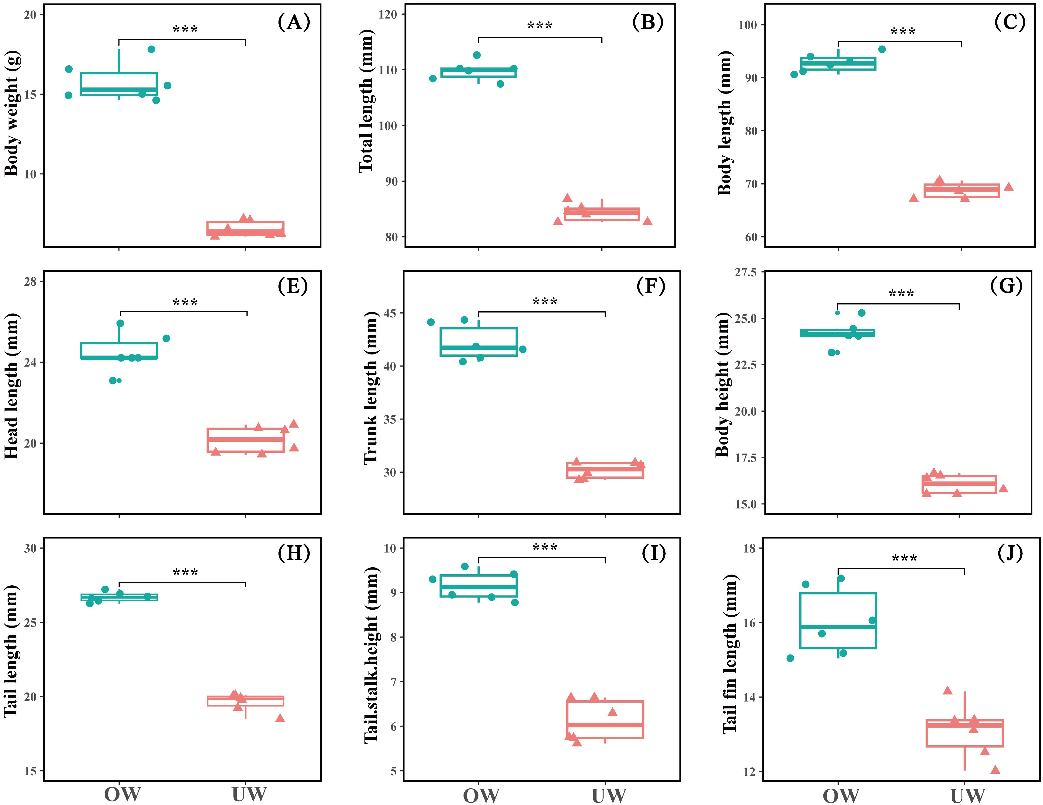 Box plots comparing various physical measurements between two groups labeled OW and UW. Panels (A) through (J) show significant differences marked by asterisks in variables such as body weight, total length, body length, head length, trunk length, body height, tail length, tail stalk height, and tail fin length. Each panel indicates that the OW group generally has higher values than the UW group.