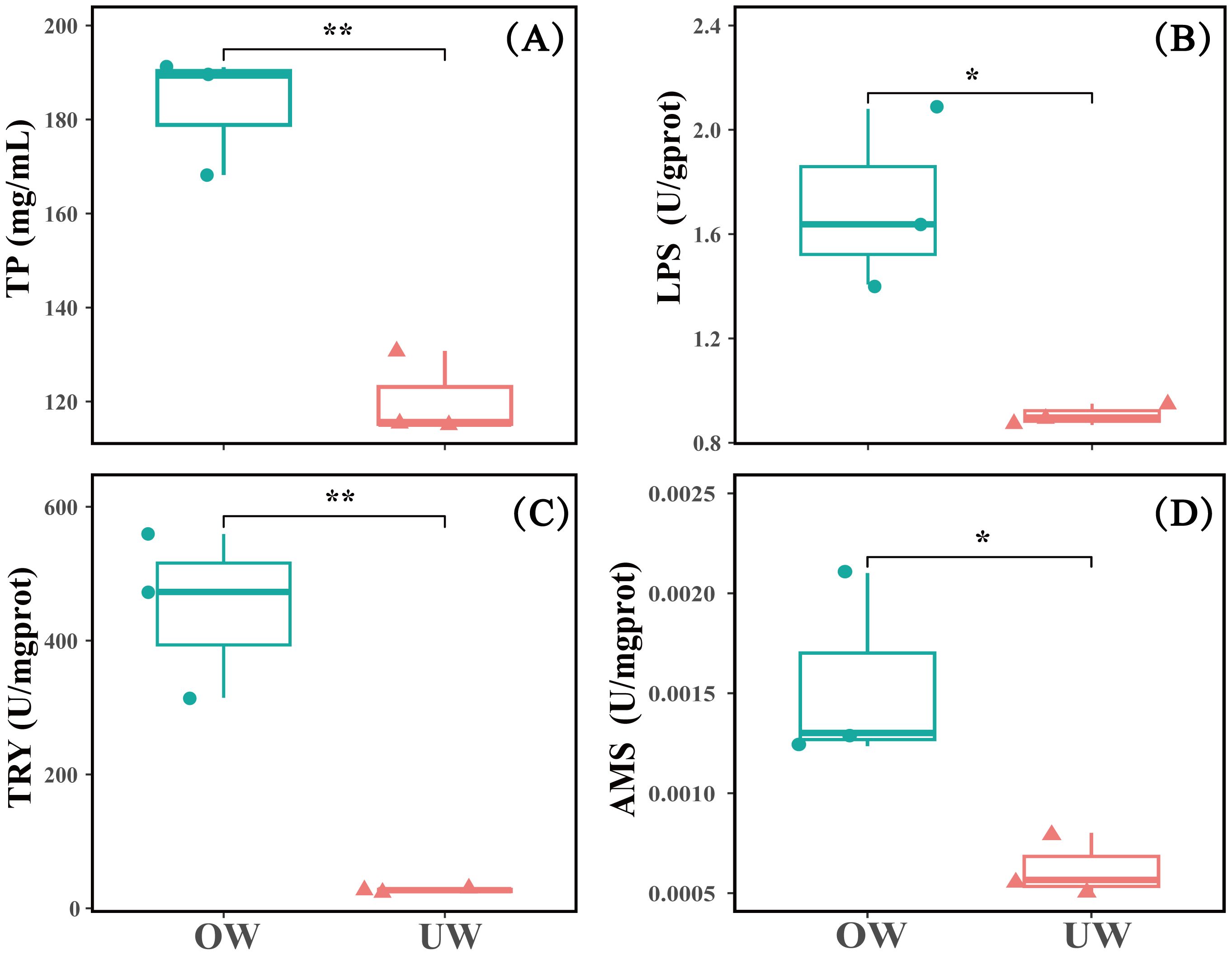 Four box plots comparing OW and UW groups. (A) Total protein (TP) shows higher levels in OW. (B) Lipase (LPS) is higher in OW. (C) Trypsin (TRY) shows significant increase in OW. (D) Amylase (AMS) is higher in OW. Asterisks indicate statistical significance.