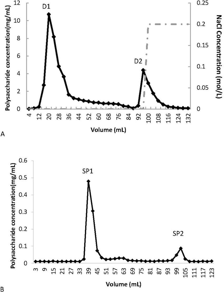 Graph A illustrates the separation of the polysaccharide on a DE-52 cellulose ion-exchange column using stepwise elution with 0 M and 0.2 M NaCl, resulting in two distinct peaks (D1 and D2). Graph B depicts gel filtration chromatography of fraction D1 on Superdex-75, which separates components based on molecular weight, yielding two peaks (SP1 and SP2).