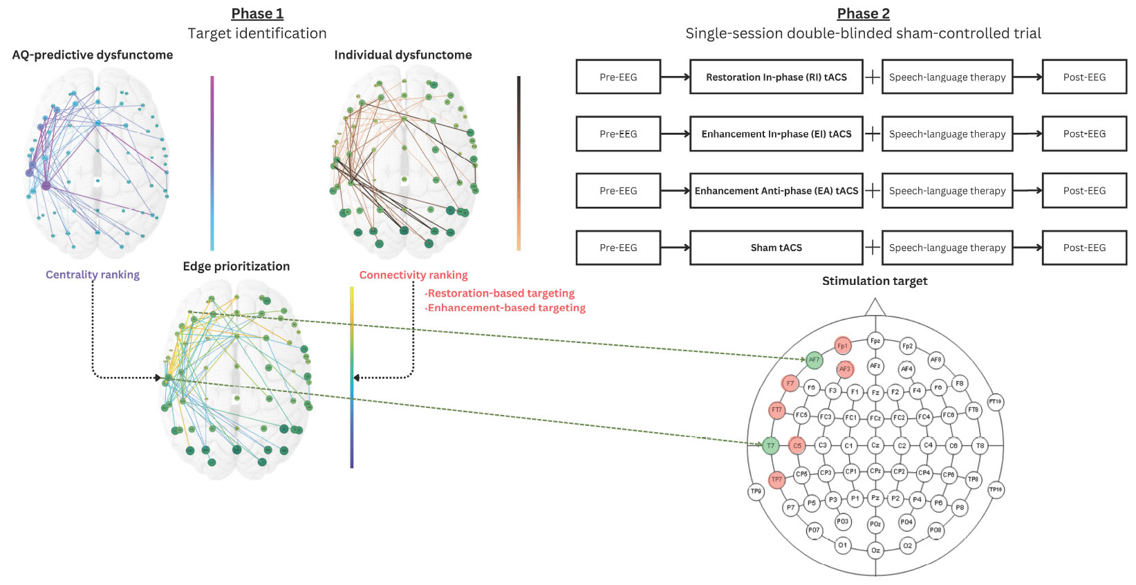 Diagram illustrating the interaction between tACS and EEG through neurological and behavioral feedback cycles. tACS modulates connectivity via dual-site stimulation, influencing network changes and behavioral adjustments. EEG uses network-based statistics for dysfunction mapping, aiding target network identification linked to clinical symptoms. This informs individualized target selection and treatment planning, completing the feedback loops.