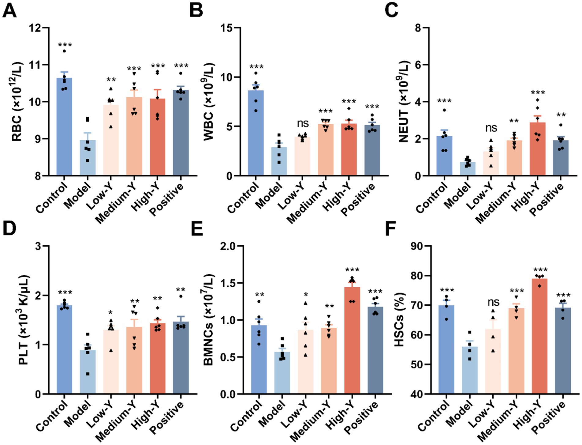 Bar graphs A to F display the effects on various blood components across different treatment groups: Control, Model, Low-Y, Medium-Y, High-Y, and Positive. Each graph shows a different measure: A) Red Blood Cells, B) White Blood Cells, C) Neutrophils, D) Platelets, E) Bone Marrow Nucleated Cells, and F) Hematopoietic Stem Cells. Significant differences between groups are indicated by asterisks, with values measured in cells per liter or percentage. Each group is represented by bars with error bars showing standard deviation.