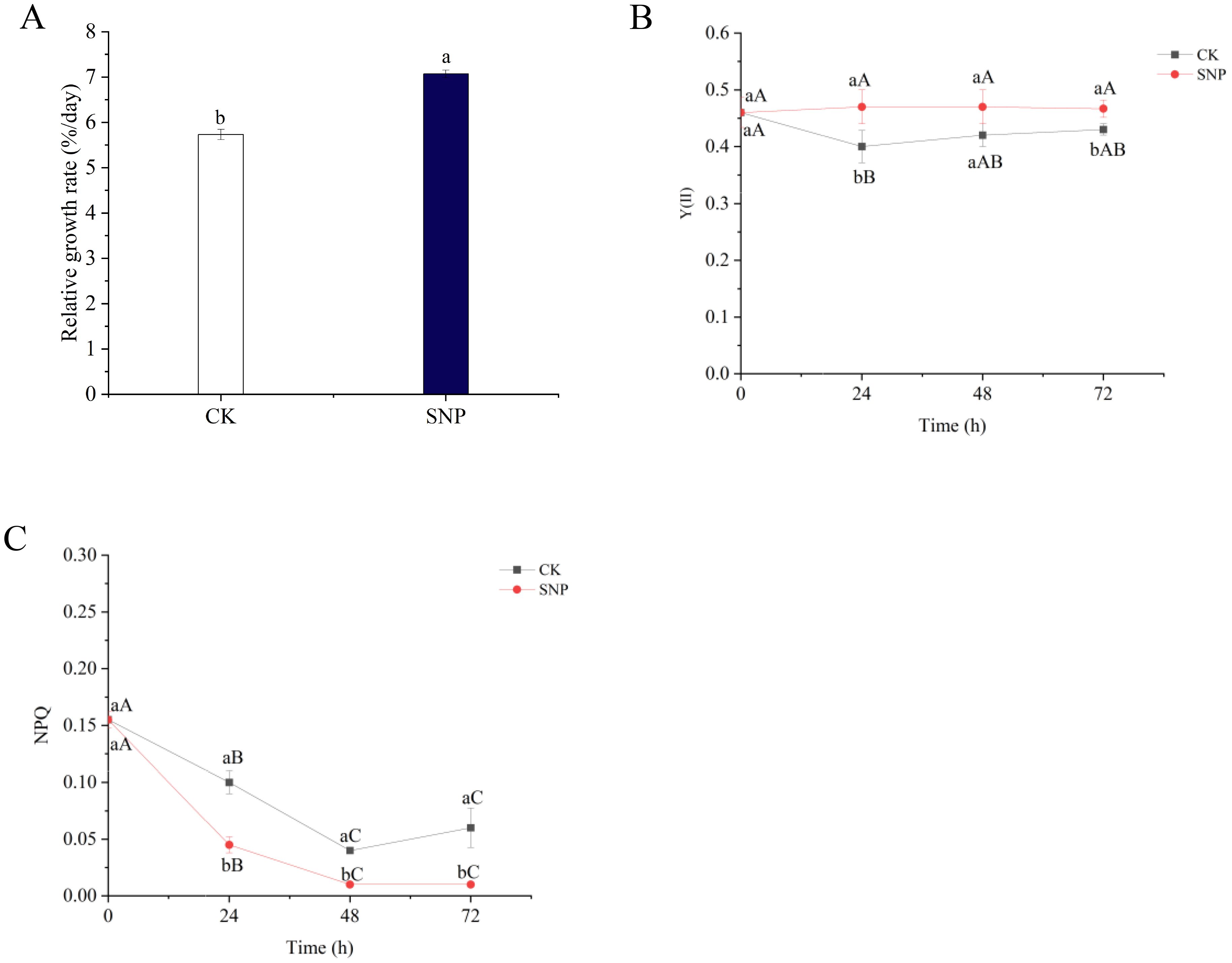 Chart A shows relative growth rates, with SNP higher than CK. Chart B compares Y(II) over time, with SNP consistently higher. Chart C displays NPQ, with CK higher initially, then SNP maintaining lower levels over time.