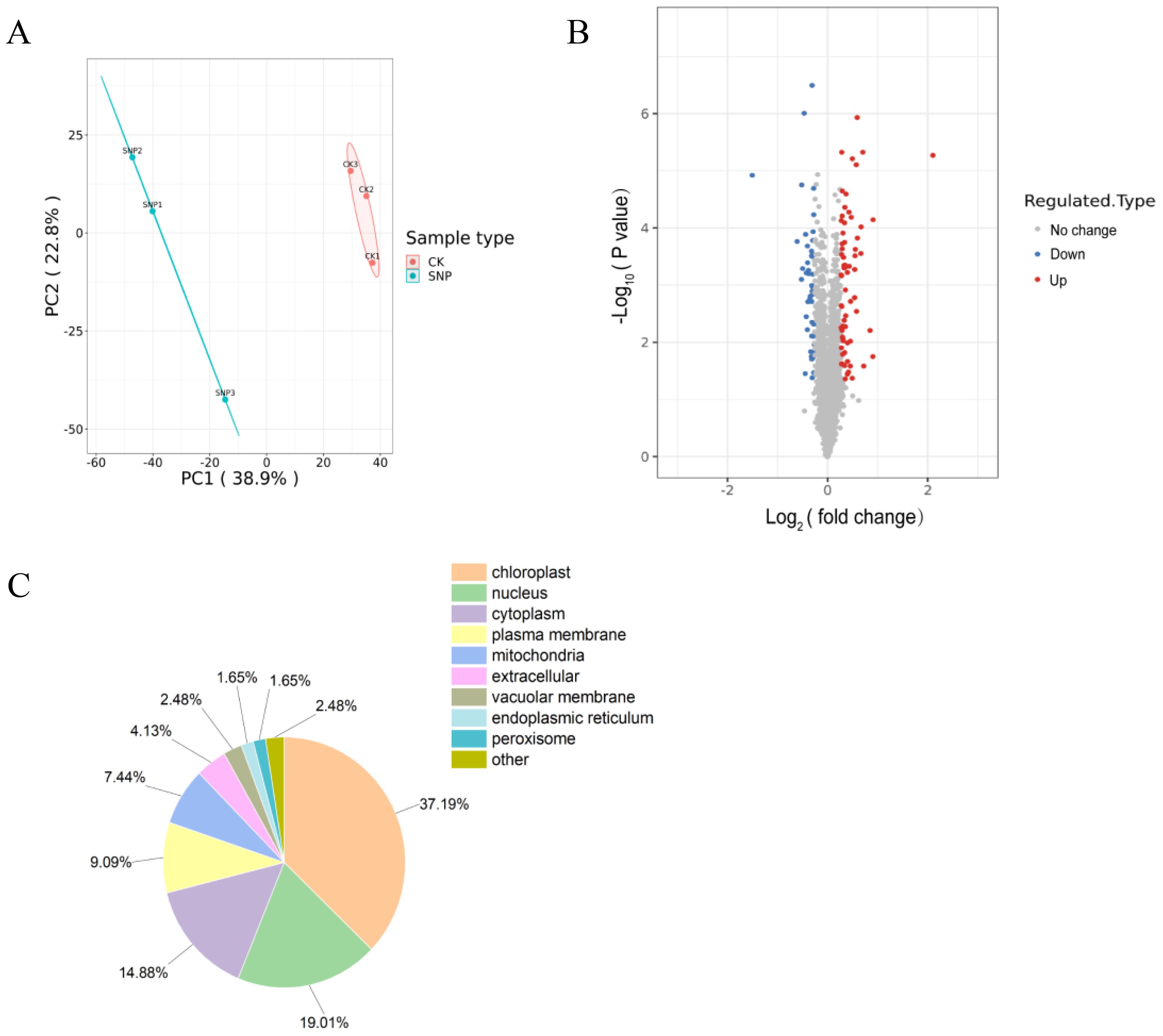 Panel A shows a PCA plot comparing CK and SNP sample types. Panel B displays a volcano plot with fold change on the x-axis and p-value significance on the y-axis, highlighting upregulated and downregulated types. Panel C features a pie chart illustrating the distribution of cellular components, with chloroplasts comprising the largest segment at 37.19 percent.
