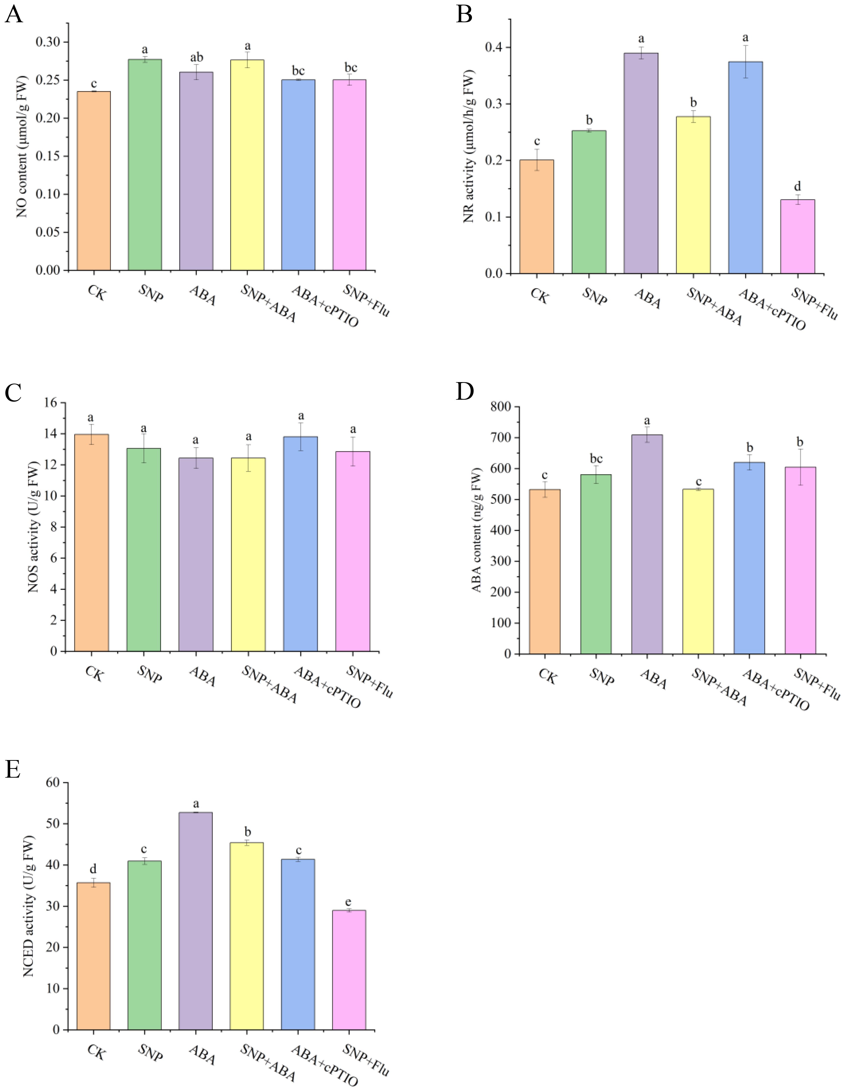 Five bar graphs compare various treatments on different parameters. (A) Nitric oxide content shows variations across treatments, with “SNP” and “ABA” having similar high values. (B) Nitrate reductase activity is highest in “ABA” and “SNP,” with “SNP+Flu” lowest. (C) Nitric oxide synthase activity is consistent across bars, slightly higher in “ABA.” (D) Abscisic acid content has a peak in “ABA,” with other treatments showing minor differences. (E) NCED activity is highest in “ABA,” with “SNP+Flu” lowest. Bars are color-coded, with statistical groupings indicated by letters.