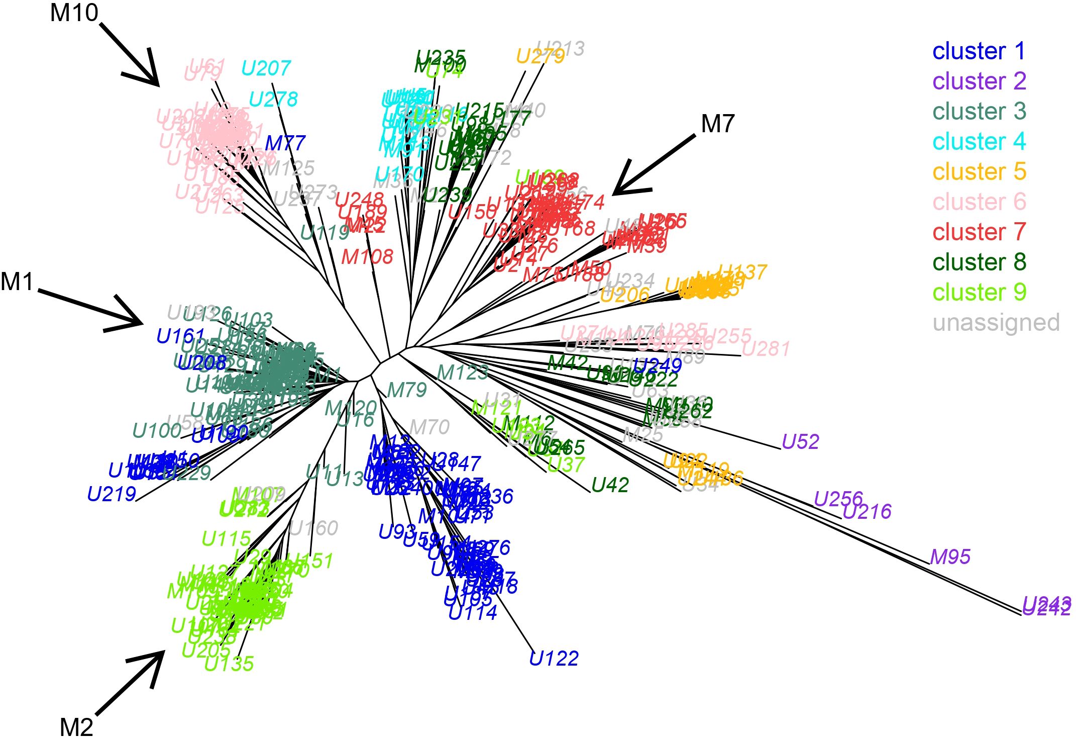 Radial phylogenetic tree showing different clusters of data points labeled U and M. Clusters are color-coded with blue for cluster 1, purple for cluster 2, green for cluster 3, cyan for cluster 4, orange for cluster 5, pink for cluster 6, red for cluster 7, dark green for cluster 8, yellow for cluster 9, and gray for unassigned. Arrows labeled M1, M2, M7, and M10 point to specific branches.