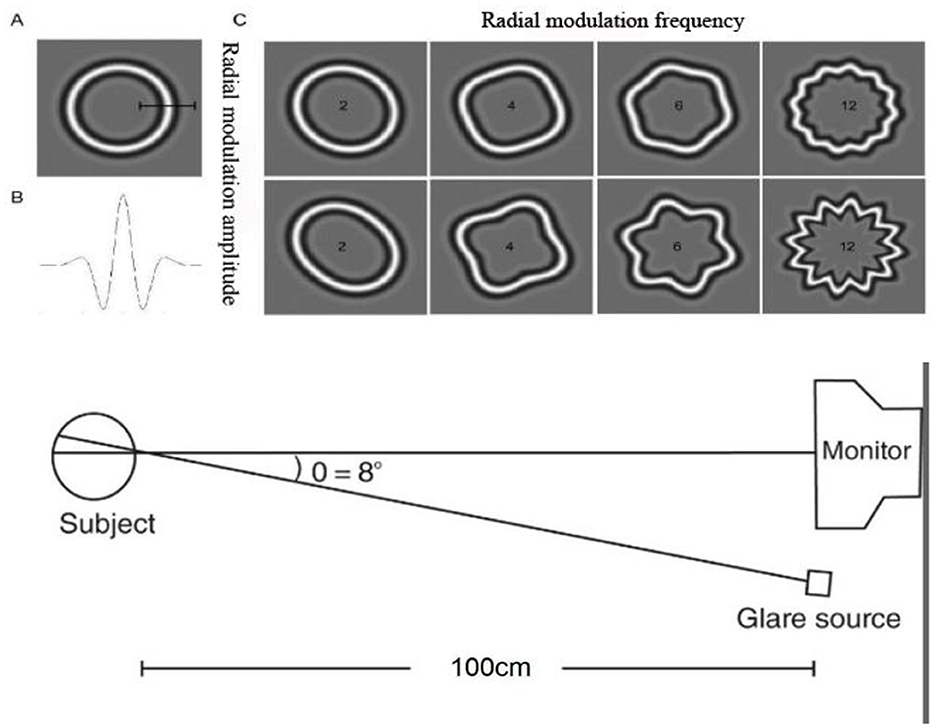 Top section shows radial modulation frequencies and amplitudes with circular patterns labeled 2, 4, 6, and 12. Bottom diagram illustrates a subject seated 100 cm from a monitor at an 8-degree angle, with a glare source positioned between the subject and the monitor.