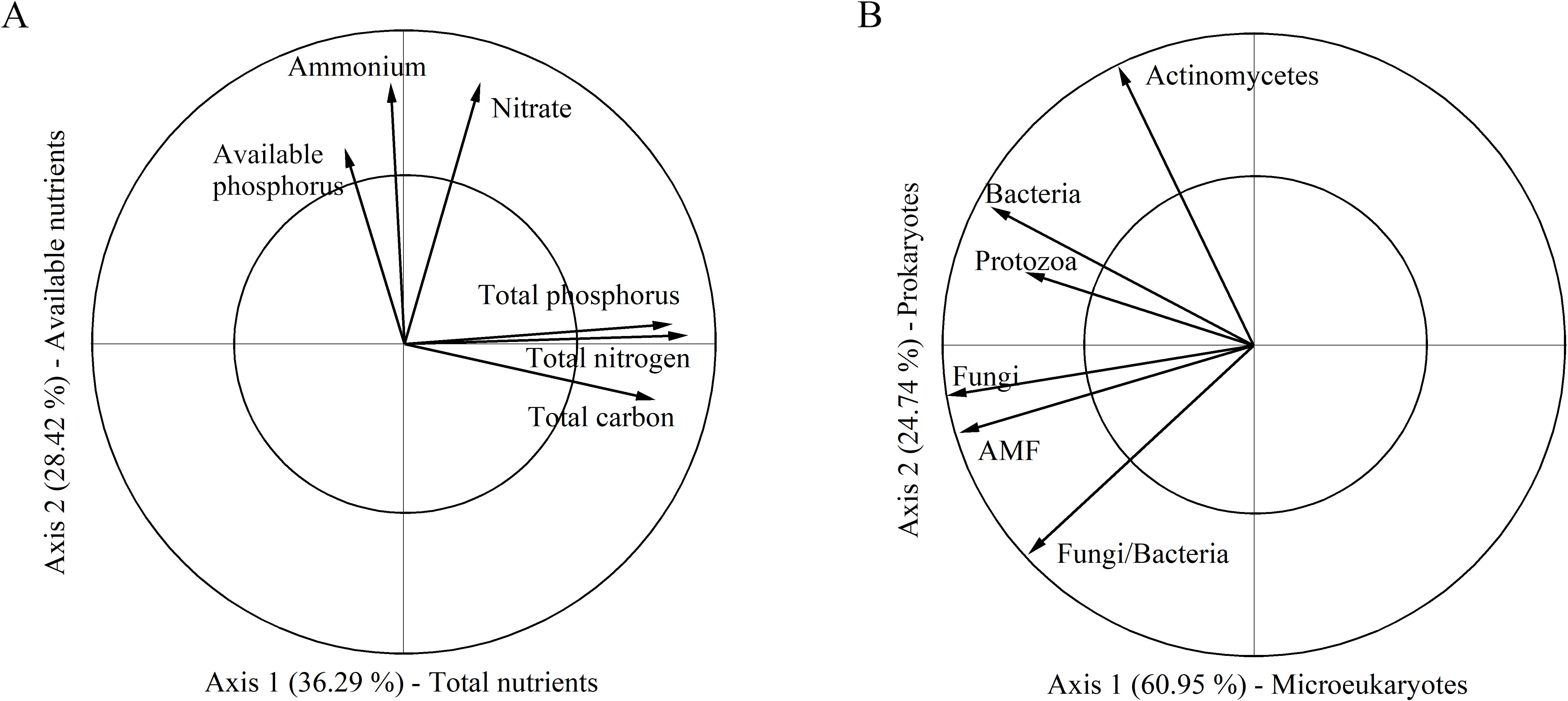 Two circular plots labeled A and B. Plot A depicts vectors for available nutrients: ammonium, nitrate, available phosphorus, total phosphorus, total nitrogen, and total carbon. Axis 1 represents 36.29% of total nutrients, and Axis 2 represents 28.42% of available nutrients. Plot B shows vectors for microbial groups: bacteria, protozoa, fungi, arbuscular mycorrhizal fungi (AMF), actinomycetes, and a combined fungi/bacteria group. Axis 1 accounts for 60.95% of microeukaryotes, and Axis 2 accounts for 24.74% of prokaryotes. Both plots feature circular grids with arrows representing correlations.