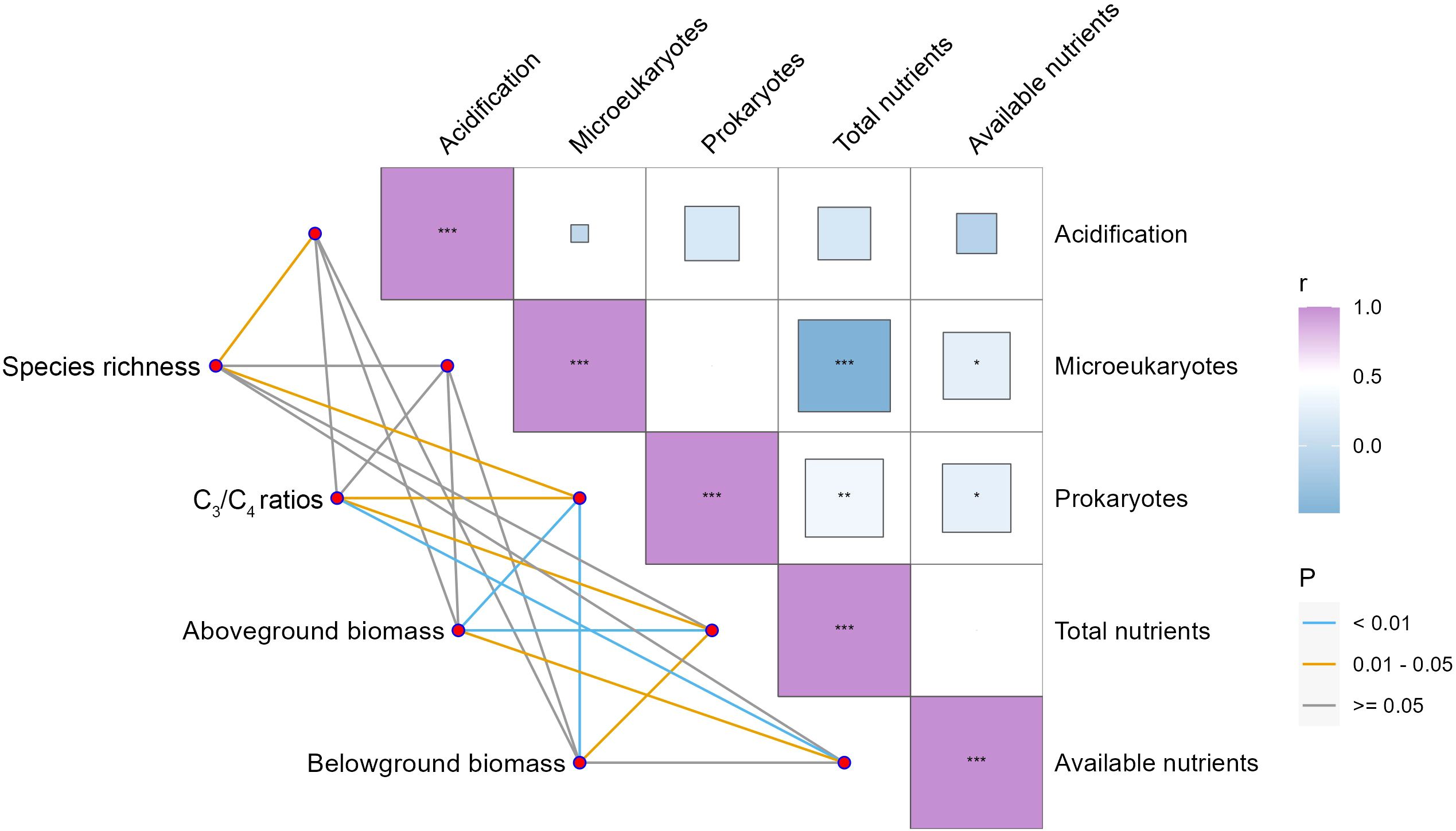 Correlation matrix and path analysis linking environmental and biological factors. The matrix shows relationships among acidification, microeukaryotes, prokaryotes, total nutrients, and available nutrients. Colors represent correlation strength (r) from blue to purple. Path analysis illustrates connections between species richness, \(C_3/C_4\) ratios, aboveground, and belowground biomass, with lines indicating significance levels (P).