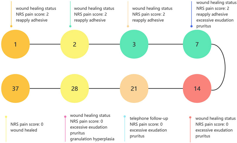 Flowchart depicting wound healing over time, with colored circles representing days and corresponding status notes. Circles are linked by lines showing progression. Key notes include wound healing status, NRS pain scores, reapplication of adhesive, excessive exudation, pruritus, and granulation hyperplasia.