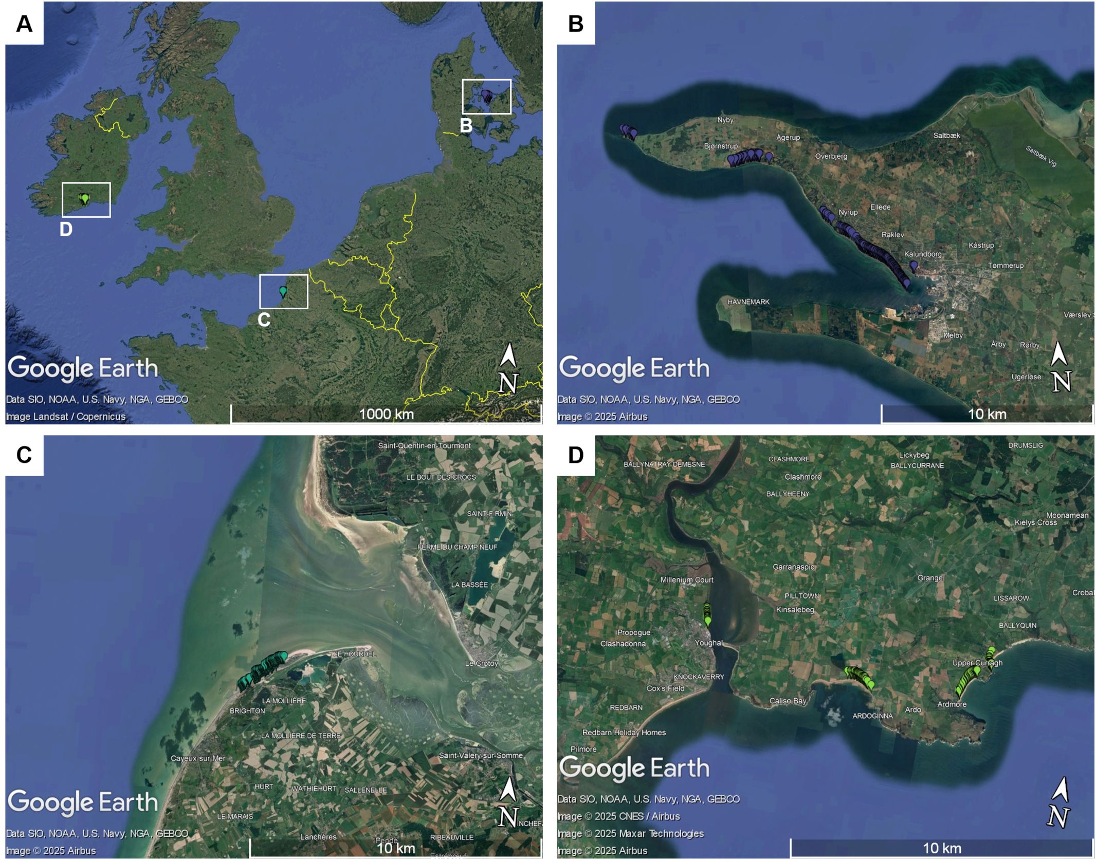 Four satellite images labeled A, B, C, and D. Image A shows a broad view of northern Europe with highlighted rectangles, which show the location of images B, C and D. Image B focuses on a coastal area in Denmark near Kalundborg. Image C depicts a coastal region in northern France near Brighton. Image D shows a coastal region in Ireland near Ardmore. Each image includes a Google Earth reference and scale bar.