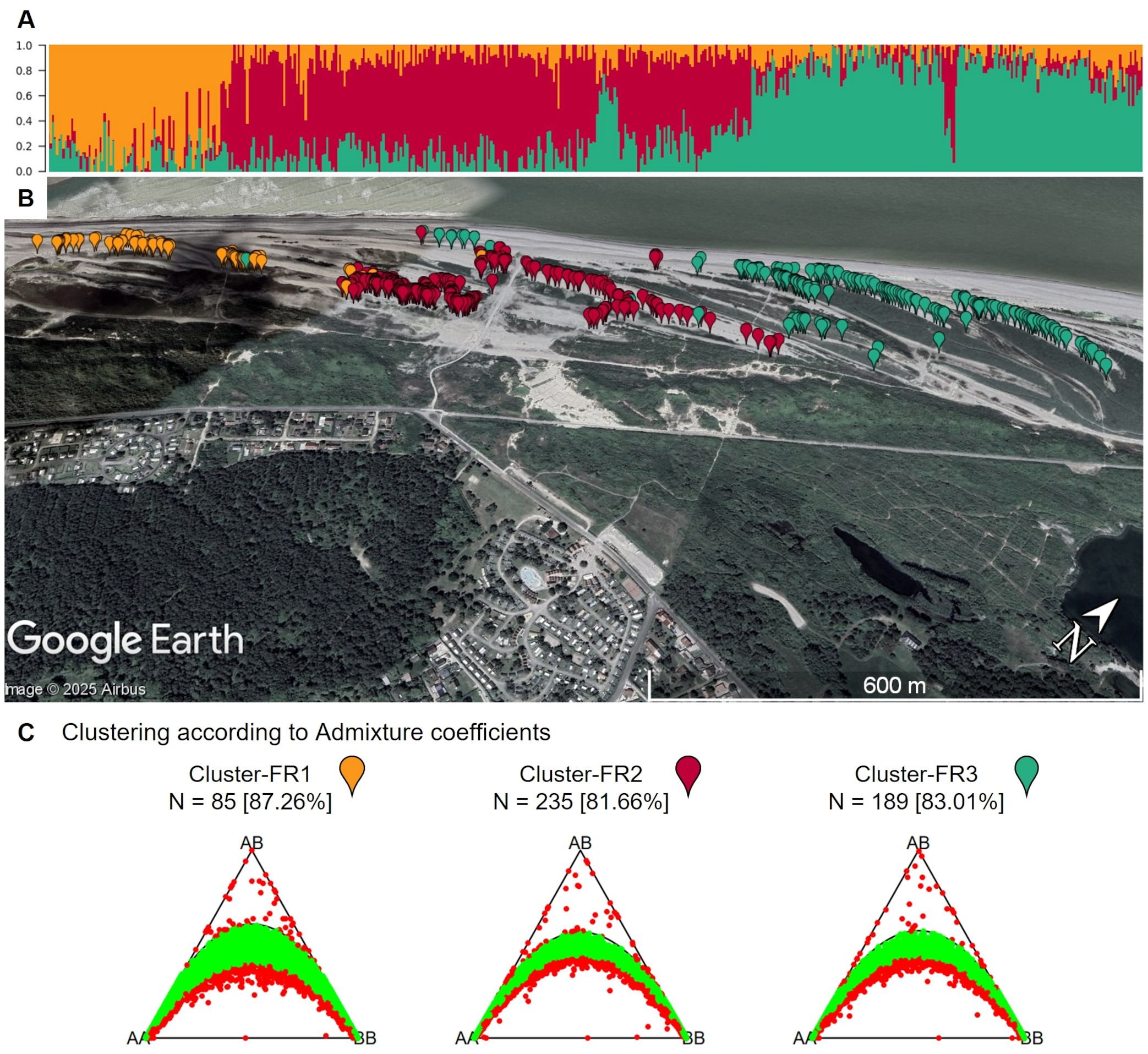 Panel A shows a bar graph with three colors indicating admixture coefficients across samples from the French population. Panel B displays a Google Earth map with colored markers representing clusters along a coastline. Panel C includes three triangular graphs for clusters FR1, FR2, and FR3, showing percentage of markers in Hardy-Weinberg equilibrium per cluster.