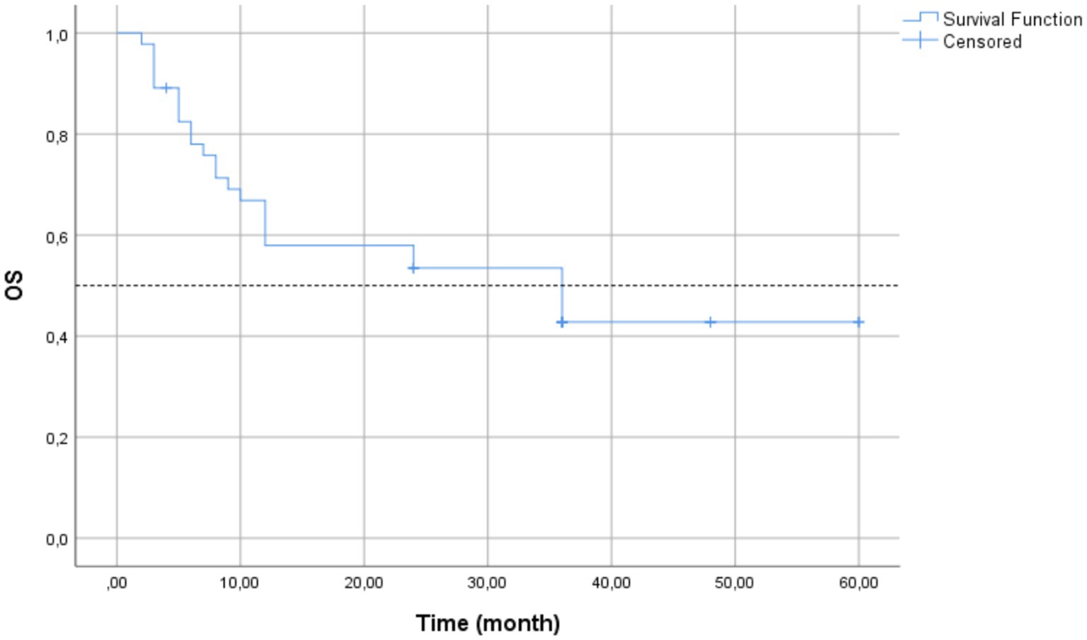 Kaplan-Meier survival curve illustrating survival over time in months. The Y-axis represents overall survival probability, and the X-axis denotes time. The blue line shows the survival function with drop-offs indicating events, while cross marks represent censored data.