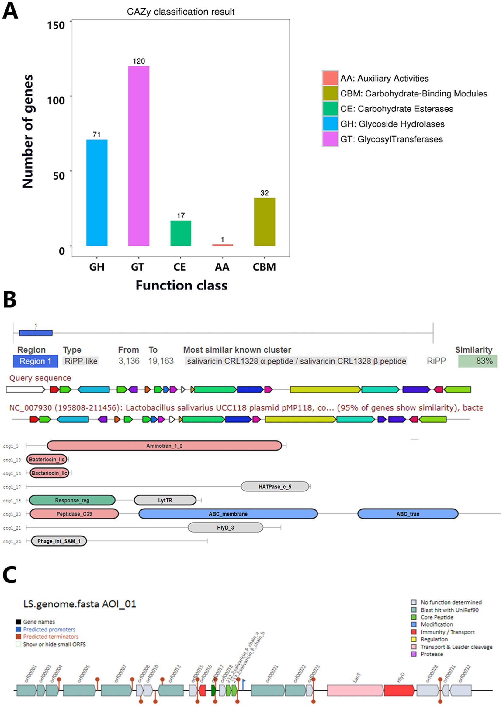 Panel A displays a bar chart of CAZy classification results, showing numbers of genes across function classes: GH (71), GT (120), CE (17), AA (1), and CBM (32). Panel B illustrates a gene cluster comparison, highlighting the query sequence and similar known clusters with 83% similarity. Panel C maps the LS genome segment, indicating gene features like predicted promoters and ORFs, with color-coded function categories.