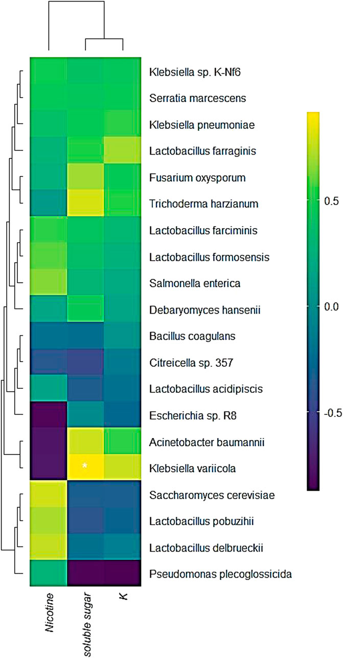 Heatmap showing cluster analysis of various bacterial and fungal species, including Klebsiella, Serratia, and Lactobacillus. The color gradient ranges from purple to yellow, representing values from negative 0.5 to positive 0.5. Y-axis lists species names, and the x-axis includes nicotine, soluble sugar, and a K-marker. A dendrogram indicates hierarchical clustering.