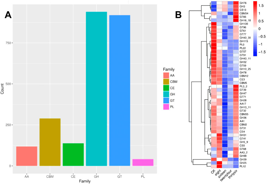 Panel A shows a bar graph displaying the count of different families: AA, CBM, CE, GH, GT, and PL. GH and GT have the highest counts, while AA and PL have the lowest. Panel B presents a heatmap with a color gradient from blue to red indicating values from -1.5 to 1.5. It displays family data for various gene codes, with clustering visible along the side. The family legend includes AA, CBM, CE, GH, GT, and PL.