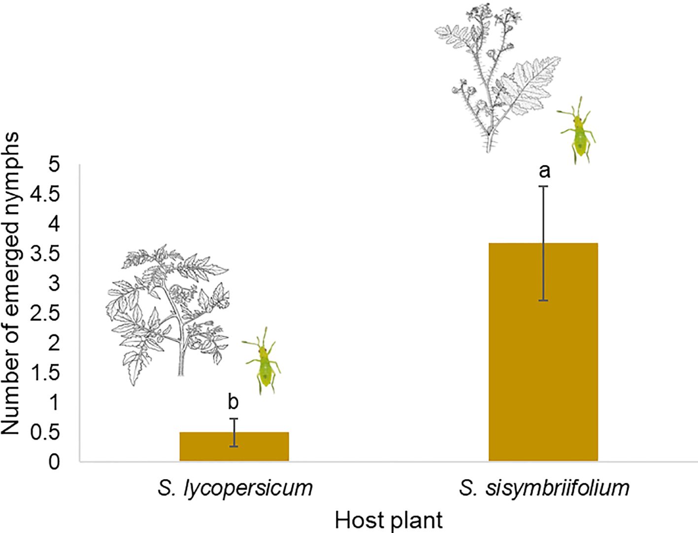 Bar graph comparing the number of emerged nymphs on two host plants: S. lycopersicum and S. sisymbriifolium. S. lycopersicum has fewer nymphs (labeled b) than S. sisymbriifolium (labeled a). Includes illustrations of the plants and insects above each bar.