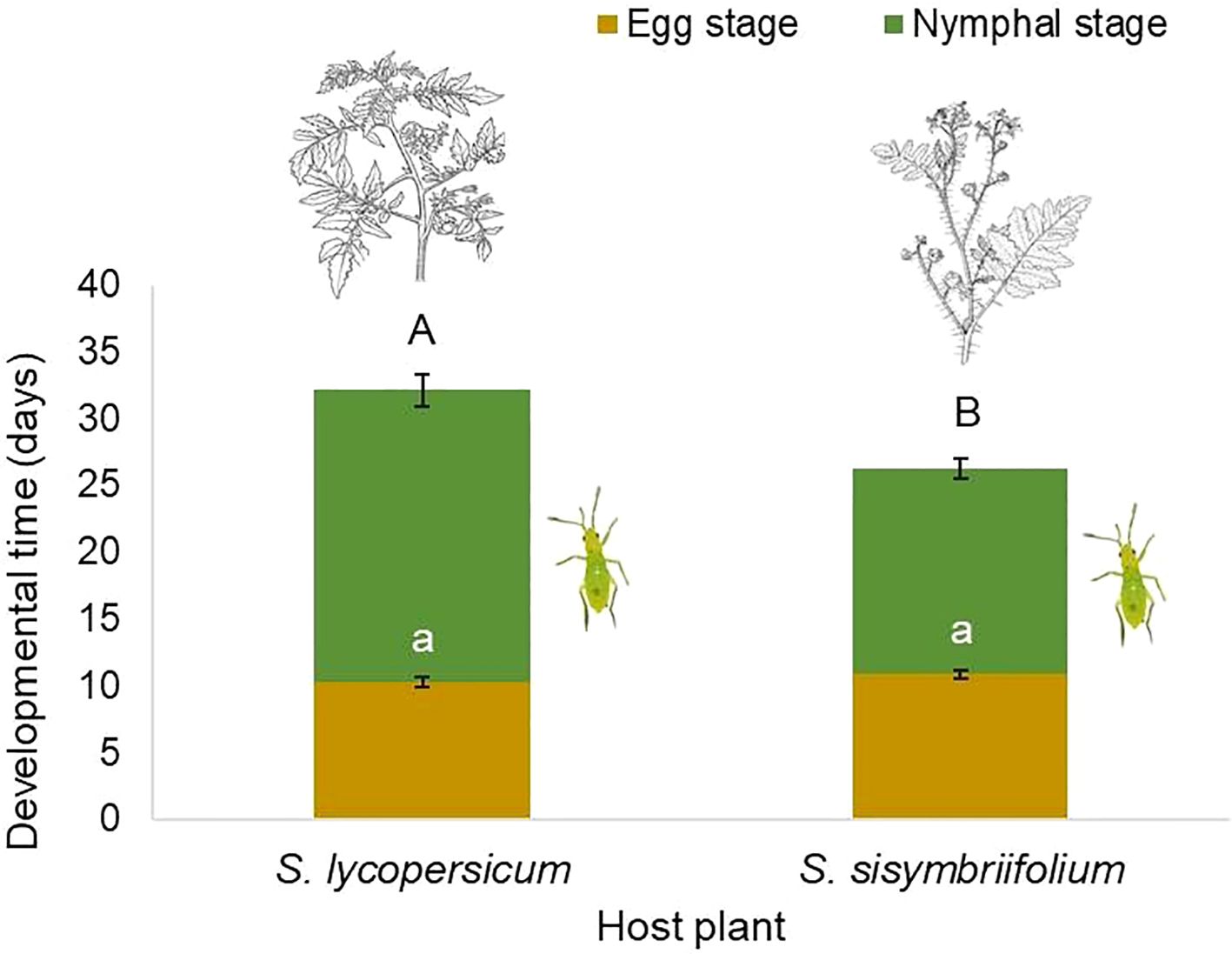Bar chart showing developmental time of insects on two host plants: S. lycopersicum and S. sisymbriifolium. Each bar is divided into egg stage (orange) and nymphal stage (green). S. lycopersicum has a taller bar, indicating longer developmental time compared to S. sisymbriifolium. Illustrations of the plants and insects accompany the chart.
