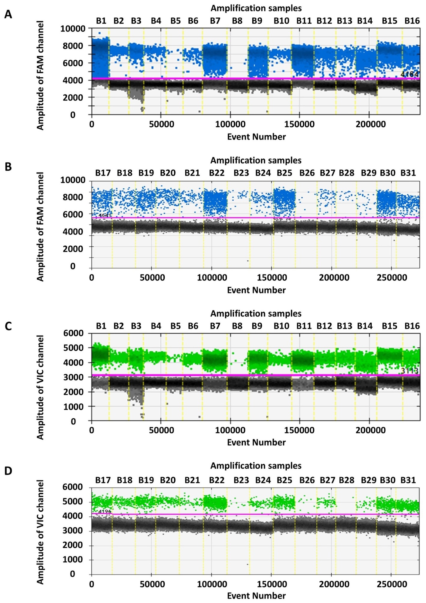 Scatter plots labeled A, B, C, and D show amplification samples. Plots A and B display blue data points representing the FAM channel amplitude; A shows samples B1 to B16 and B shows B17 to B31. Plots C and D have green data points for the VIC channel amplitude; C shows samples B1 to B16 and D shows B17 to B31. Each plot has event numbers on the x-axis and amplitude on the y-axis, with distinct clusters of data points.