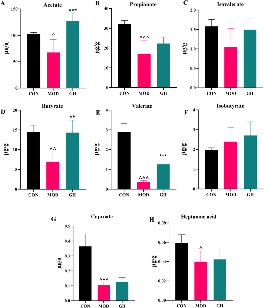 Bar graphs labeled A to H compare microbial metabolites acetate, propionate, isovalerate, butyrate, valerate, isobutyrate, caproate, and heptanoic acid across three groups: CON (black), MOD (pink), and GH (teal). Each panel shows varying levels with significance markers indicating differences between the groups.