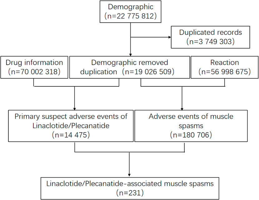 Flowchart showing the processing of demographic and drug information data. Starting with demographic data (22,775,812 records) and duplicated records (3,749,303). After removing duplications, 19,026,509 records remain. Drug information (70,002,318 records) and reaction data (56,998,675 records) are included. The primary suspect adverse events for Linaclotide/Plecanatide involve 14,475 records, leading to 231 confirmed cases of Linaclotide/Plecanatide-associated muscle spasms. Muscle spasm adverse events number 180,706.