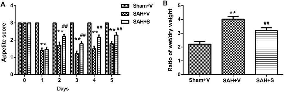 Graph A shows appetite scores over six days for three groups: Sham+V, SAH+V, and SAH+S. Graph B depicts the ratio of wet to dry weight for the same groups. Notable differences are marked with asterisks and hash symbols.