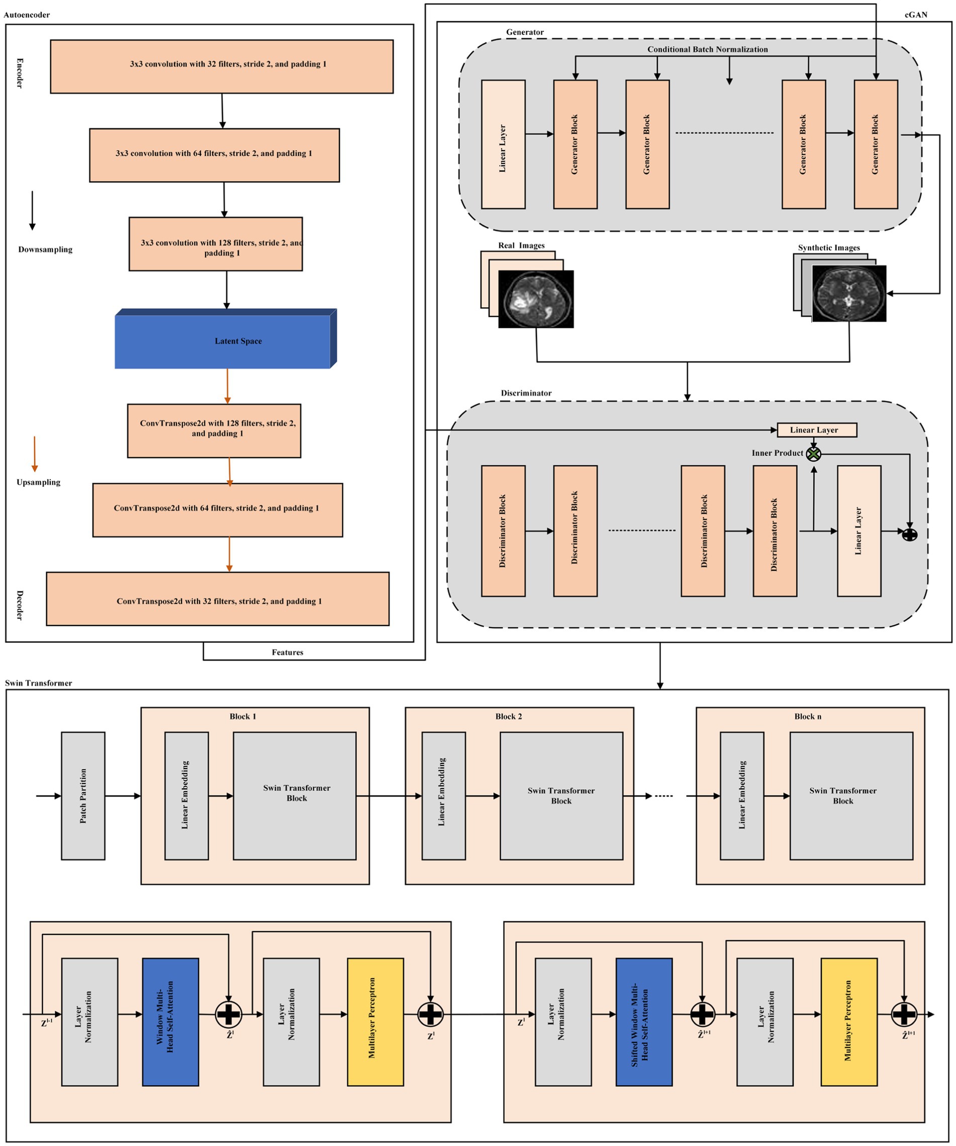 A schematic diagram showing a deep learning architecture comprising three main components: an Autoencoder, a GAN (Generative Adversarial Network), and a Swin Transformer. The Autoencoder employs convolutional layers for downsampling and upsampling activity around a latent space. The GAN consists of a generator producing synthetic images and a discriminator for real versus synthetic image evaluation. The Swin Transformer integrates patch embedding, linear embedding, and multiple perceptron layers with normalization, self-attention mechanisms, and multiple blocks for scalable vision modeling. Each component is detailed with layer types and operations, providing a comprehensive overview of the model.