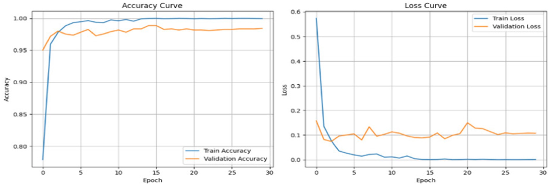 Two line graphs displaying accuracy and loss curves over 30 epochs. The accuracy graph shows training and validation accuracy reaching over 95%. The loss graph depicts both training and validation loss decreasing sharply initially, with training loss minimizing further than validation loss.
