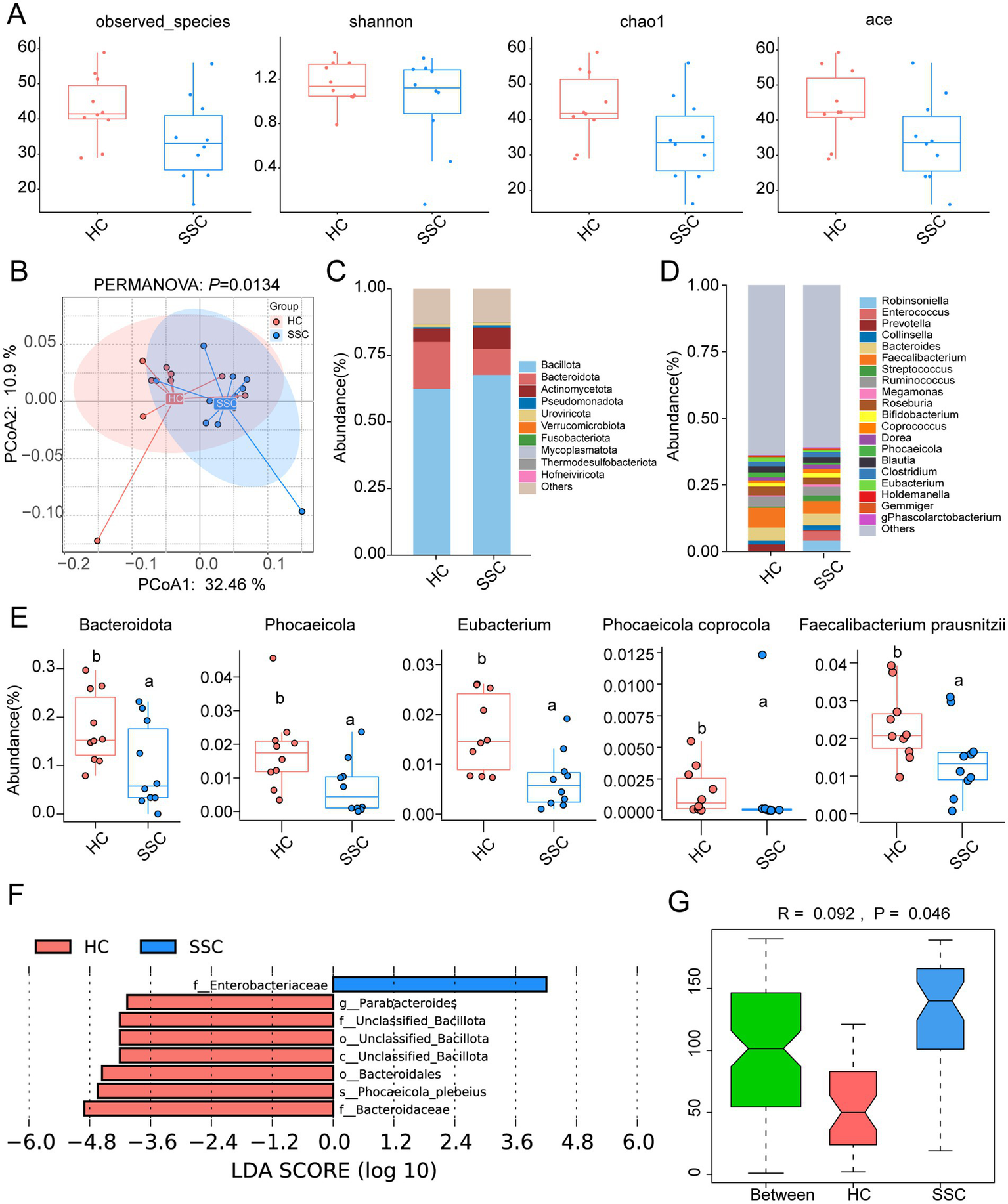 Boxplots, bar charts, and a PCoA plot compare microbial diversity and abundance between HC (healthy controls) and SSC (systemic sclerosis) groups. Each section highlights various metrics: species richness (observed species, Shannon, Chao1, ACE), PCoA analysis with statistical significance (PERMANOVA), phyla and taxa abundance, and LDA scores. Notable differences are labeled, indicating statistical significance and specific taxa contributing to disease states.